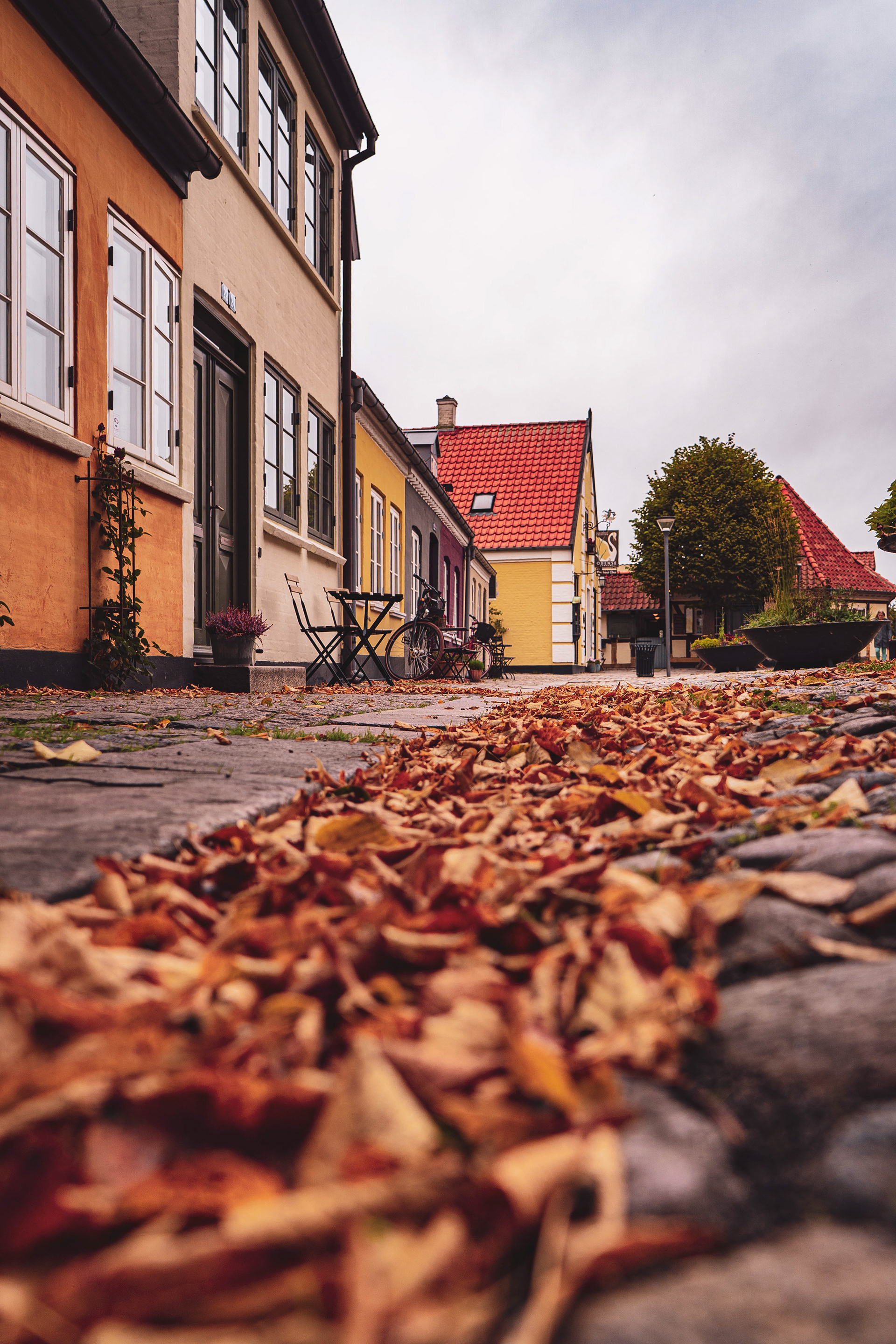 Old town of Odense covered in autumn leaves