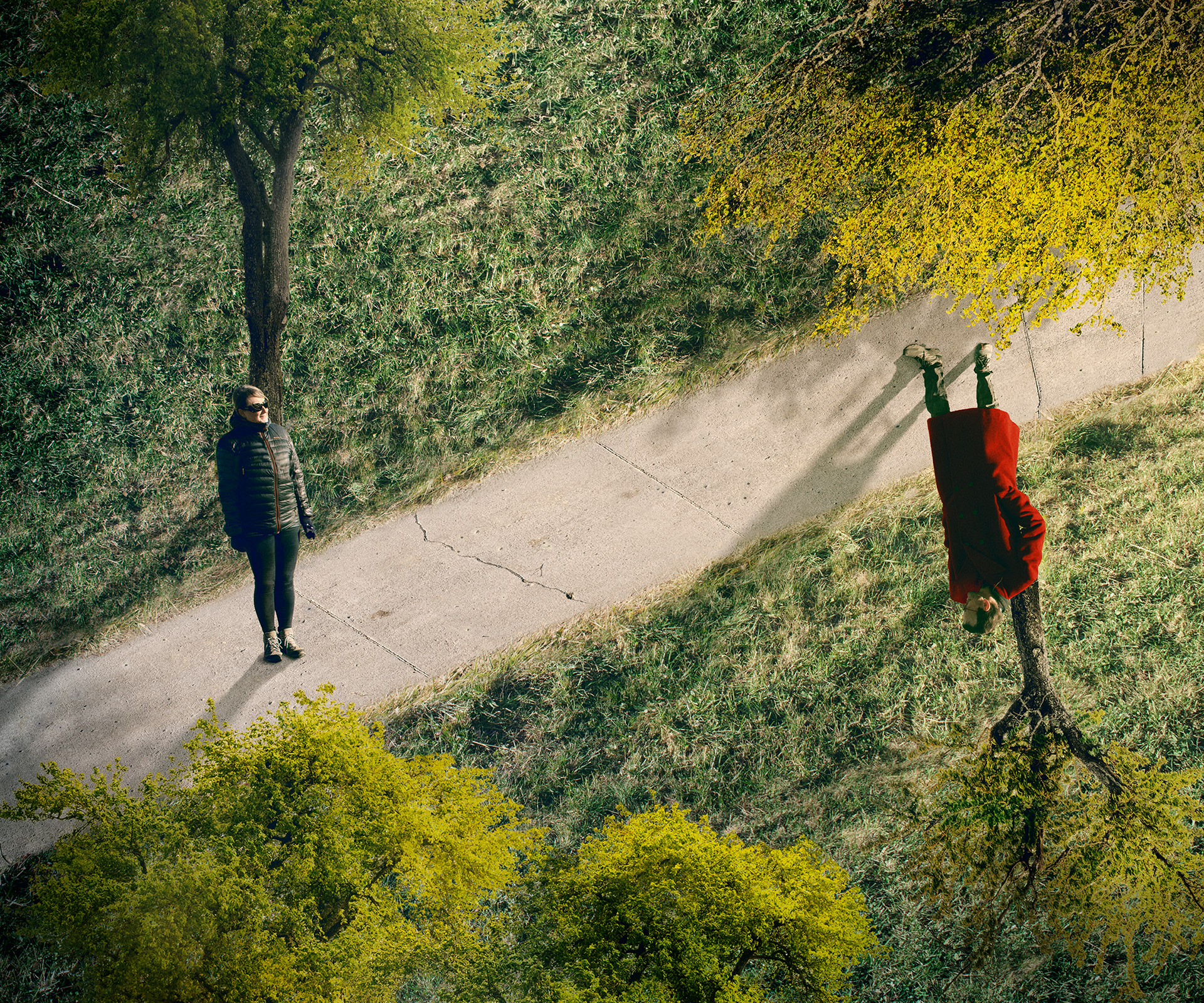 DISTORDED PATH, 2023