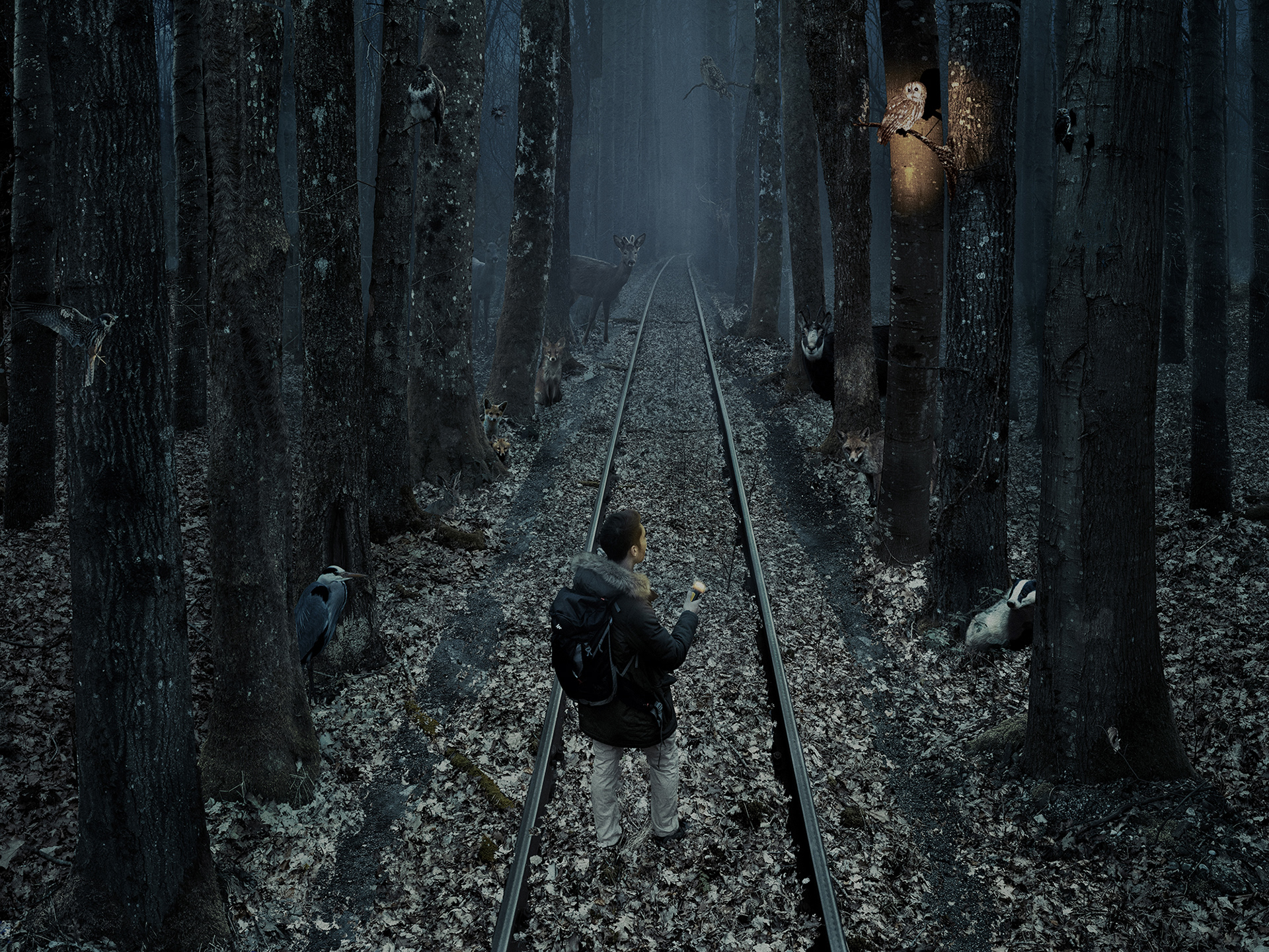 THE JUDGMENT, 2019