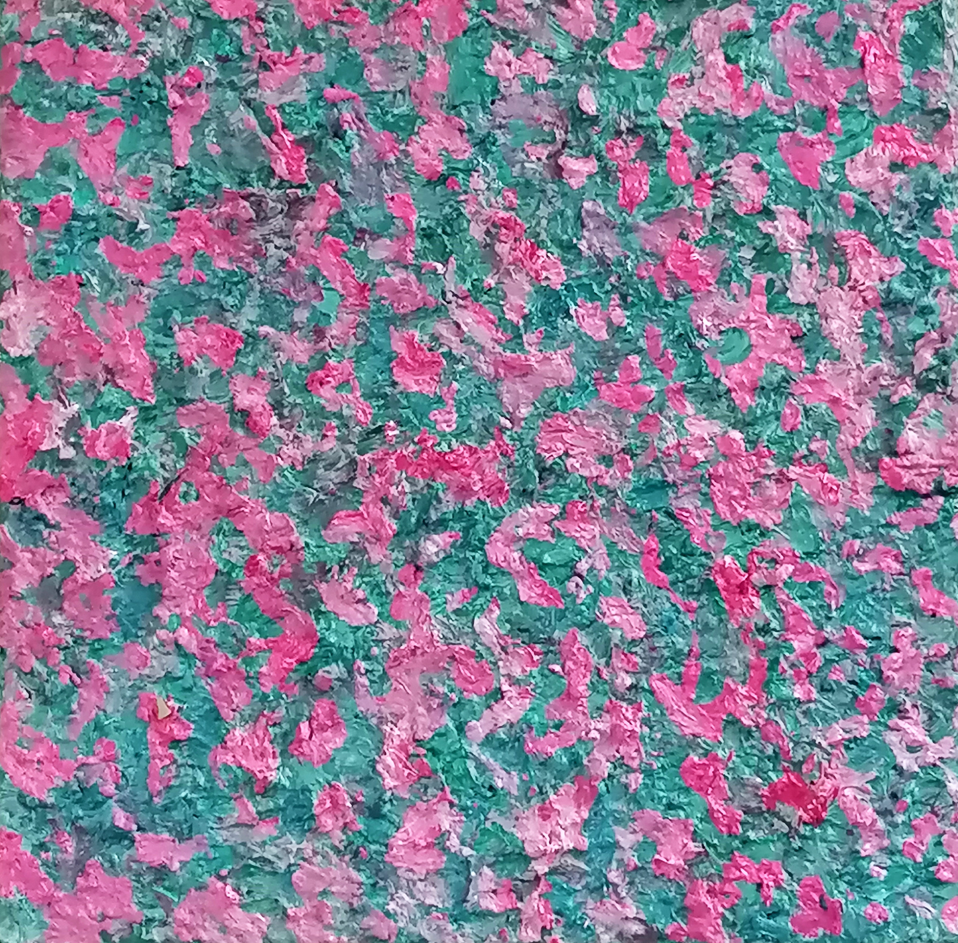 Fuchsia. Oil on canvas.30x30 cm