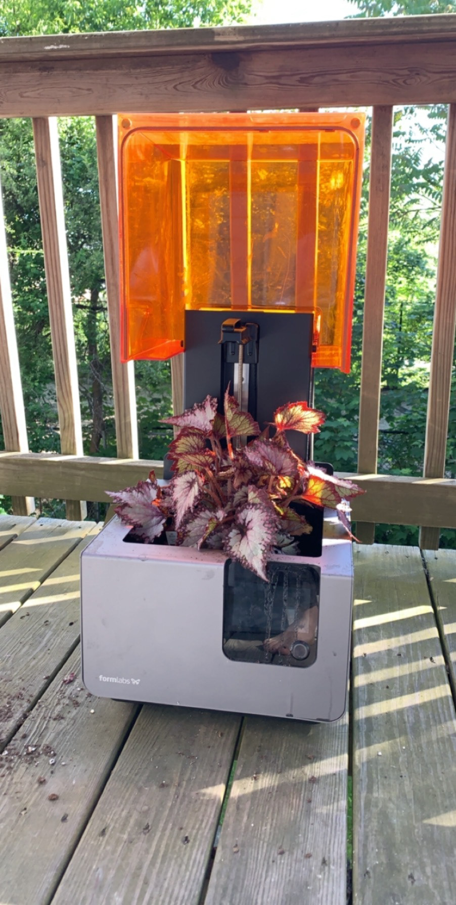 First iteration, back porch