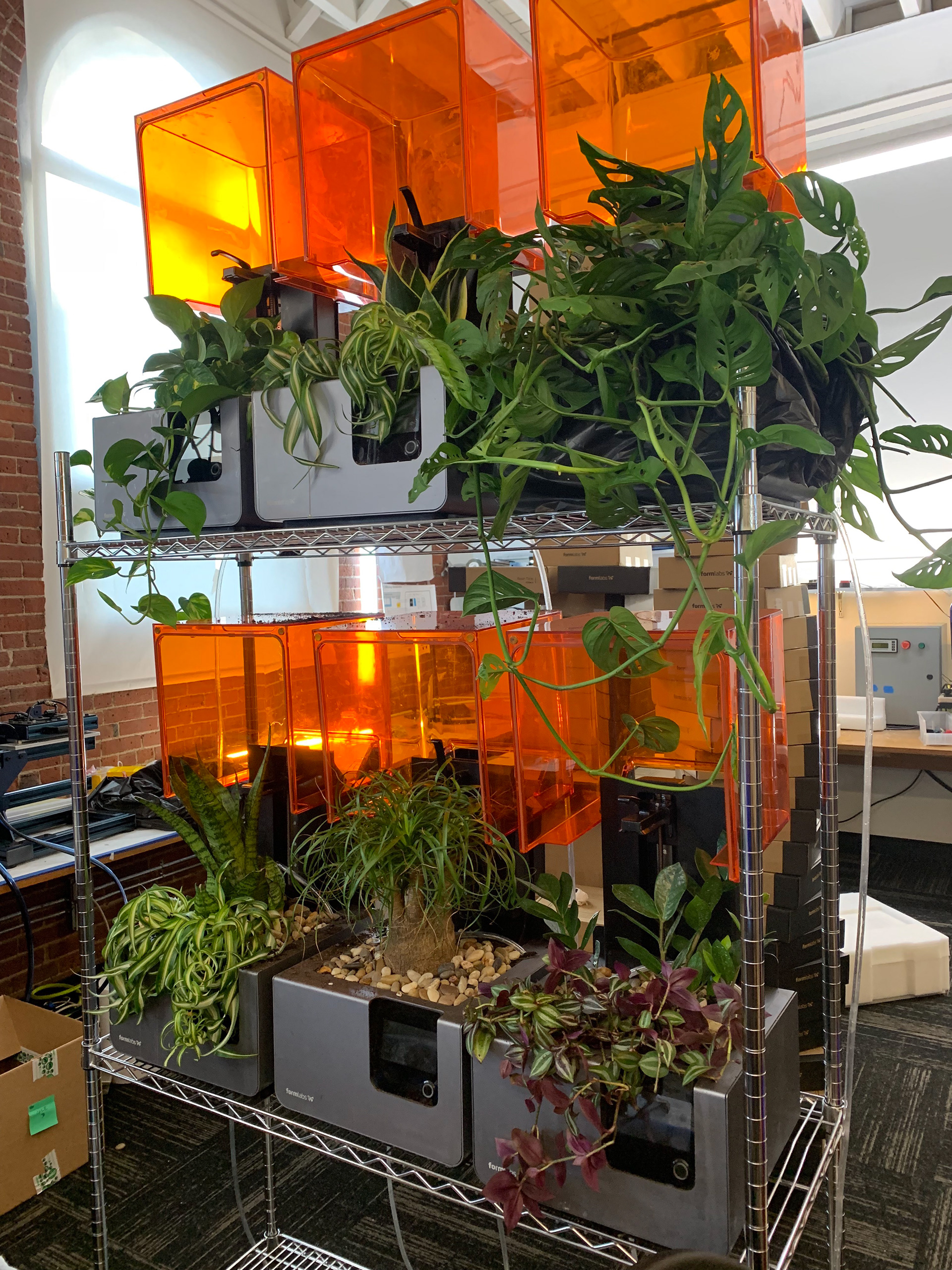 Finished transplant!