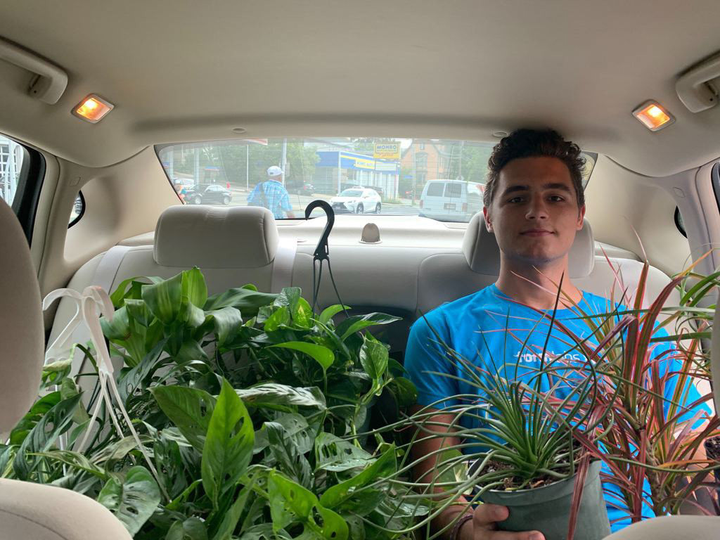 Purchasing plants
