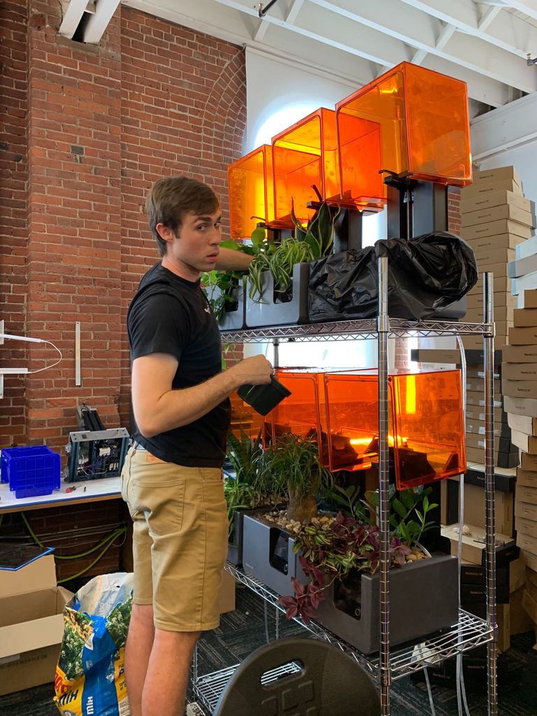 Transplanting into printer planters