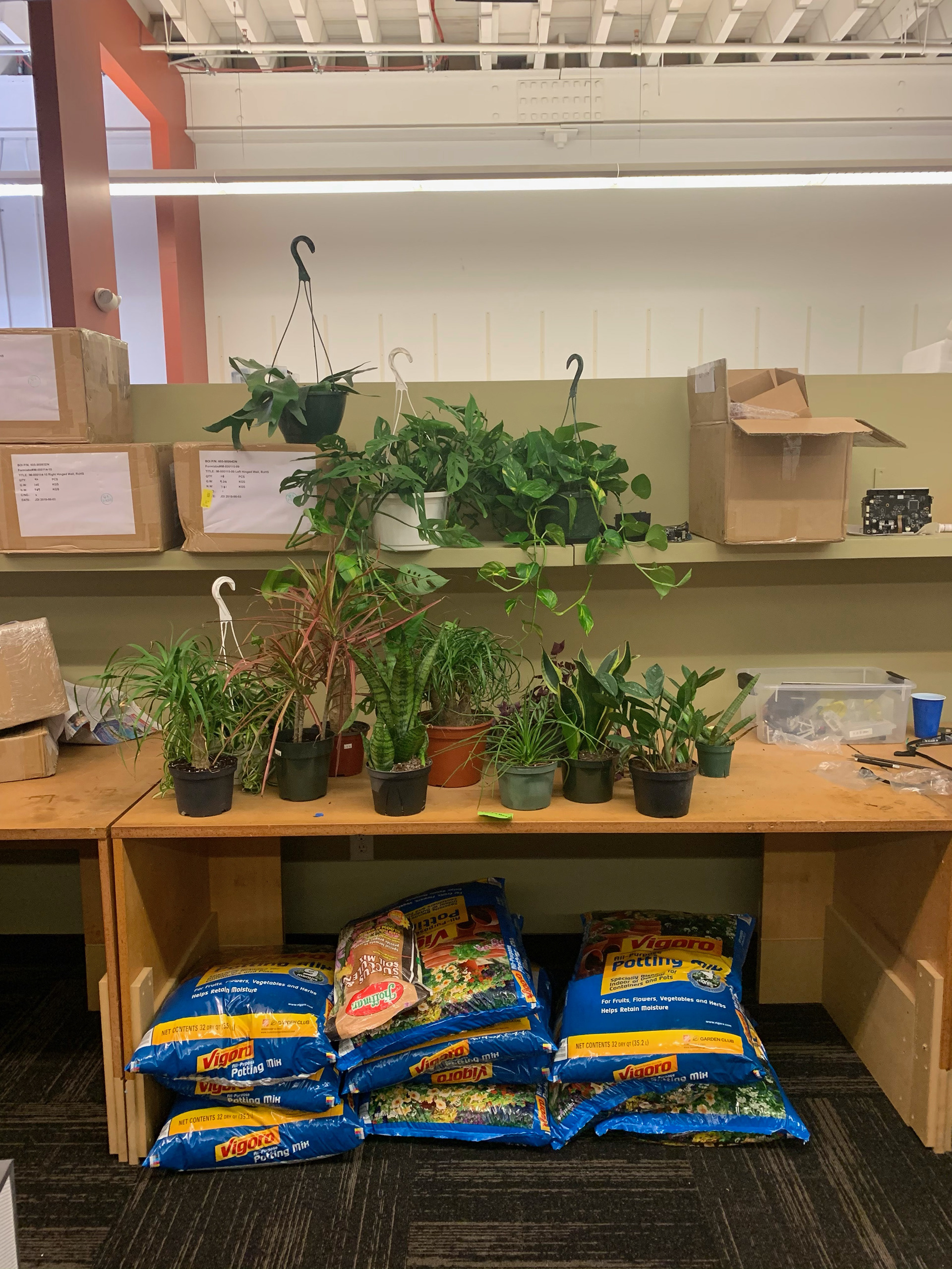 Plant haul for the entire project