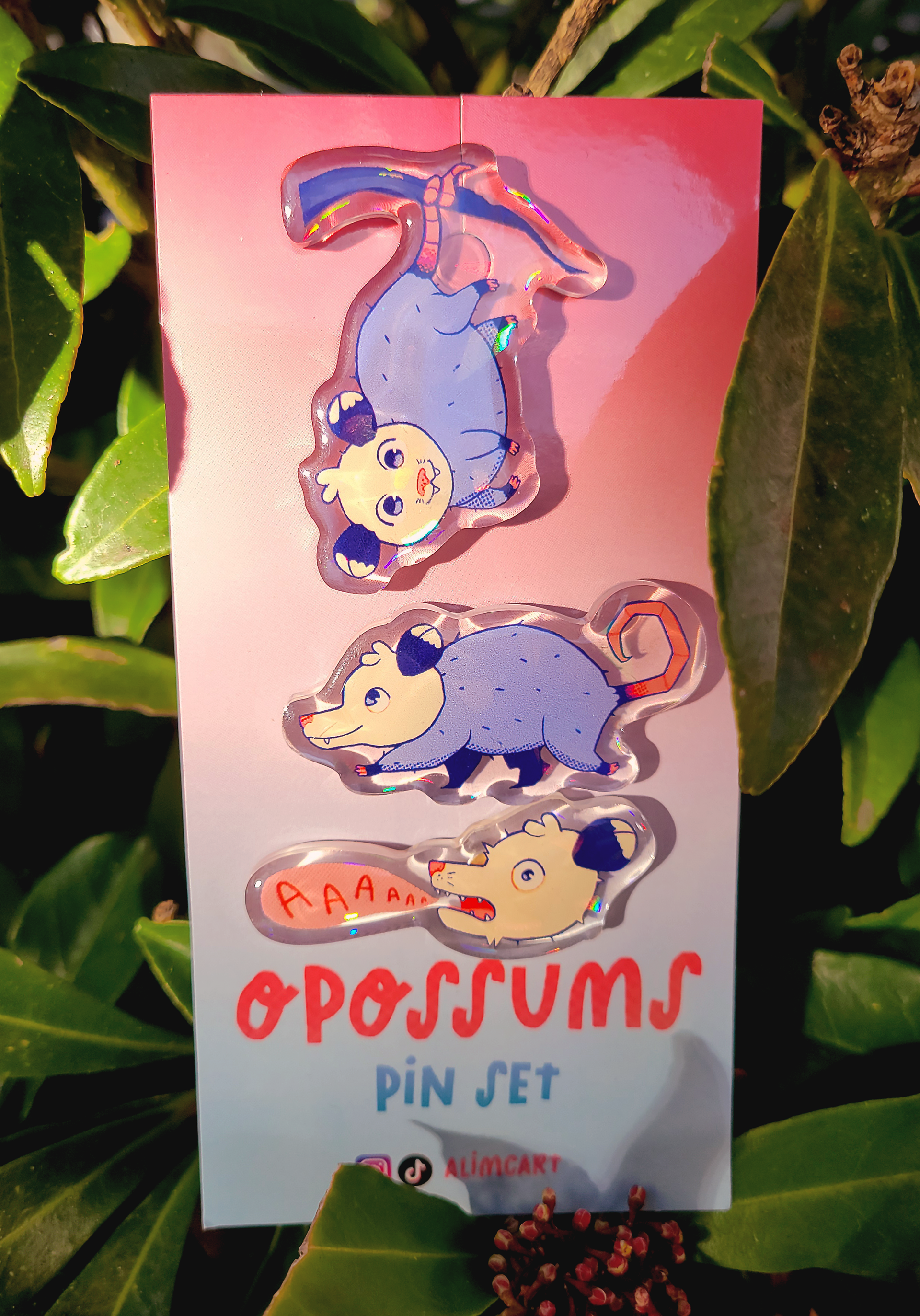 Opossum pin set