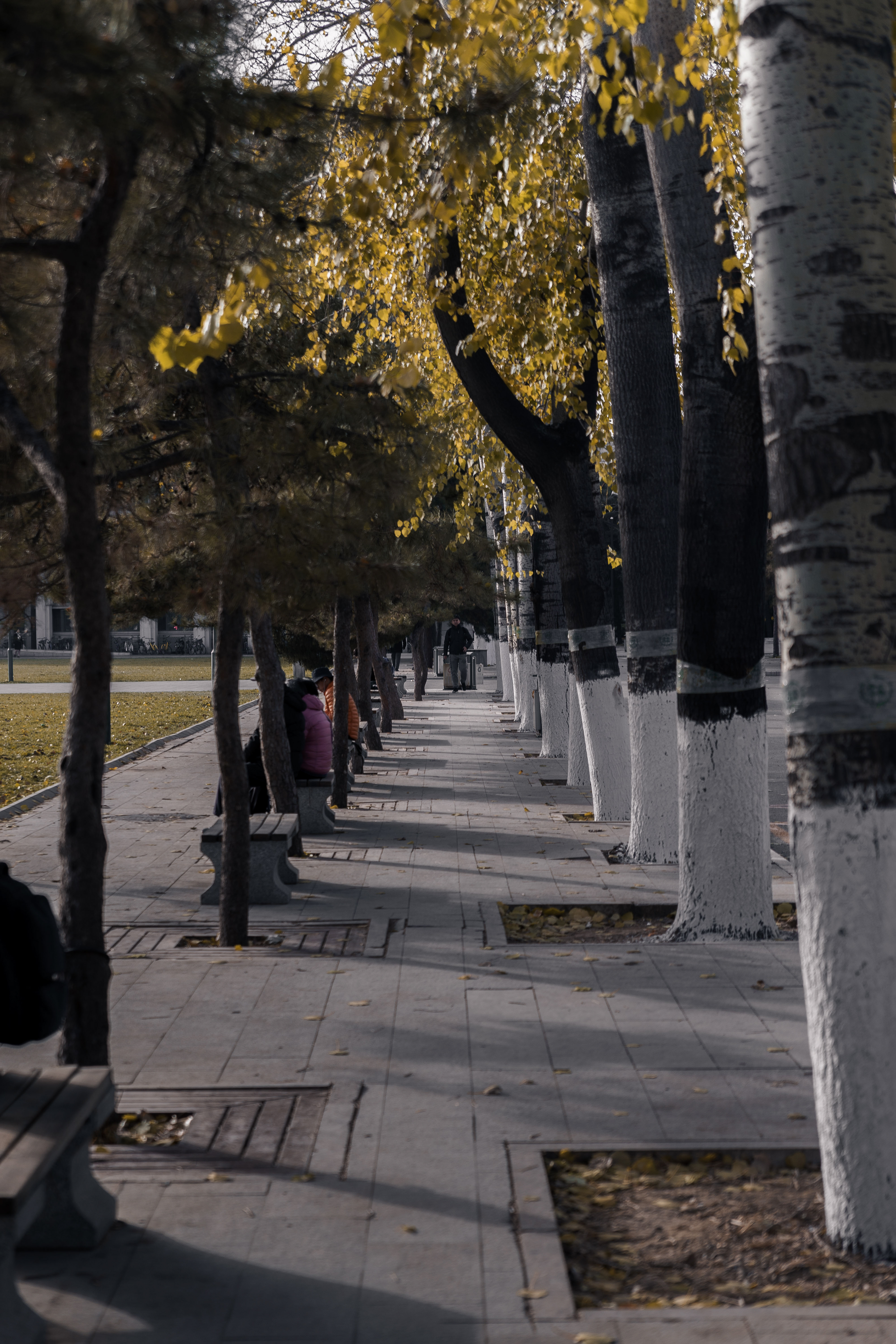 Renmin University