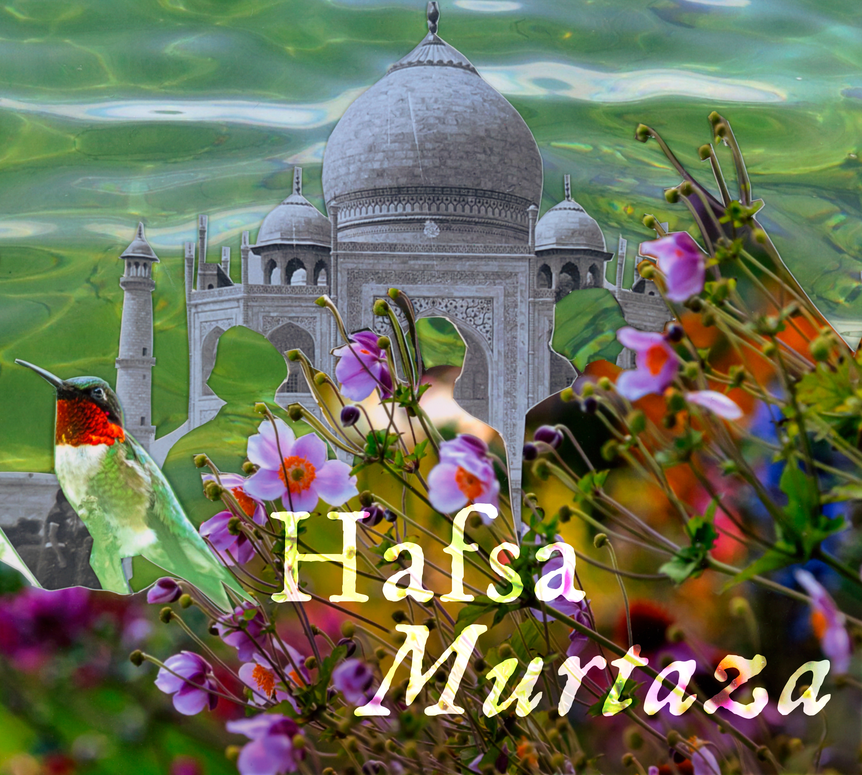 Hafsa Murtaza