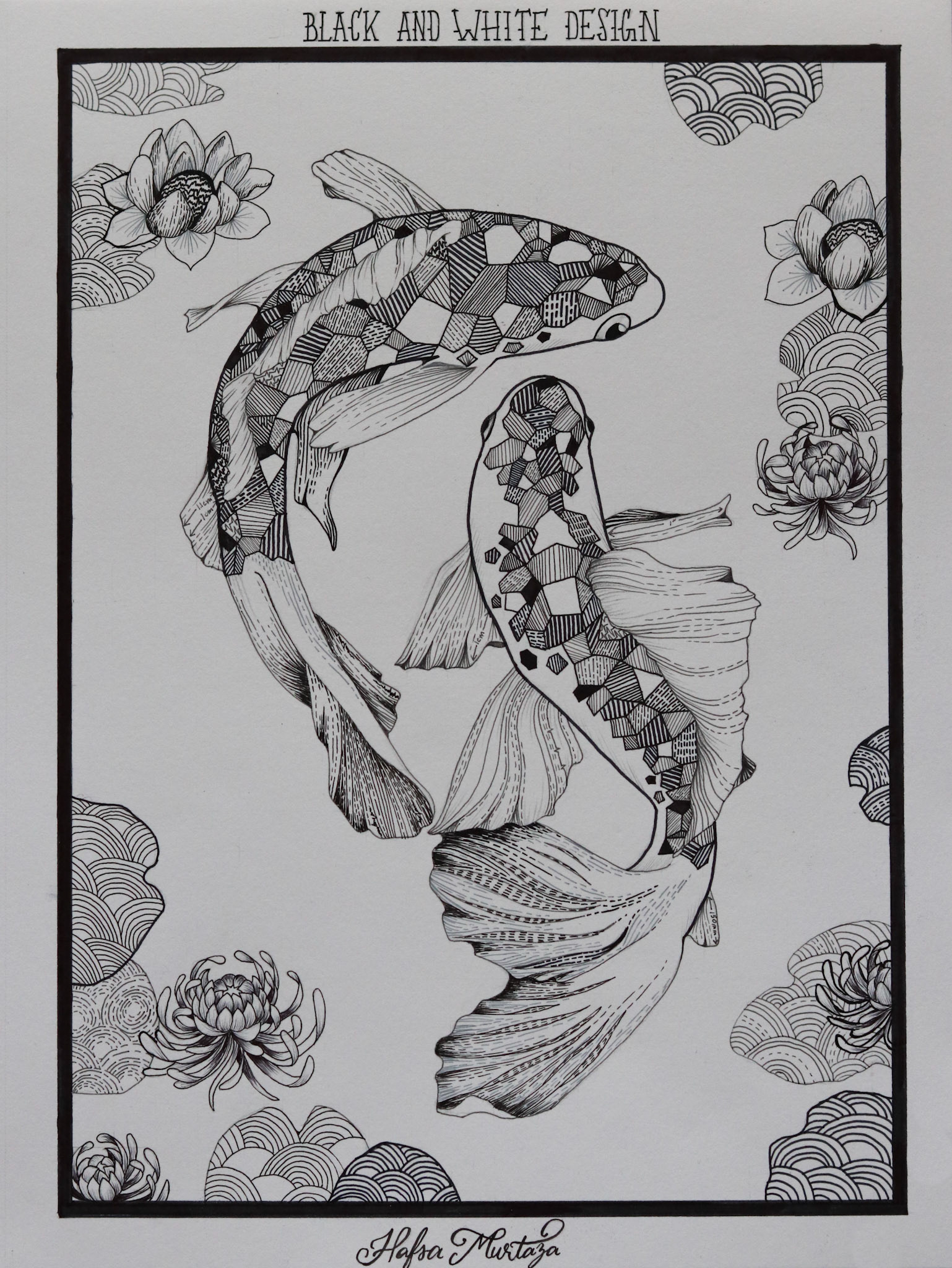 Black and White Koi Fishes