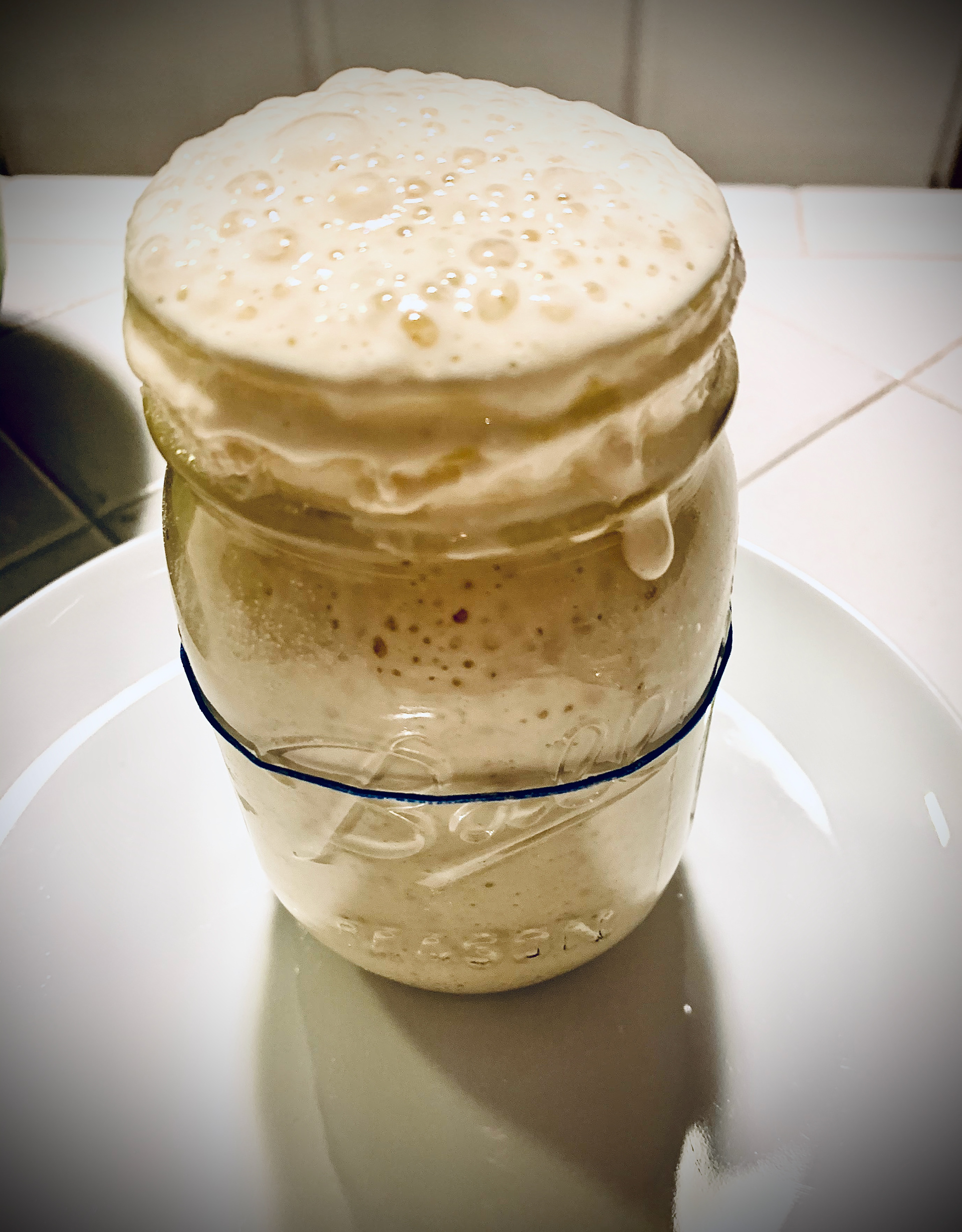 My sourdough starter - her name is Sasha
