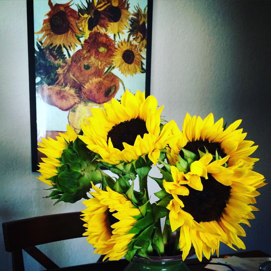 Favorite flowers - sunflowers. Happy little flowers.