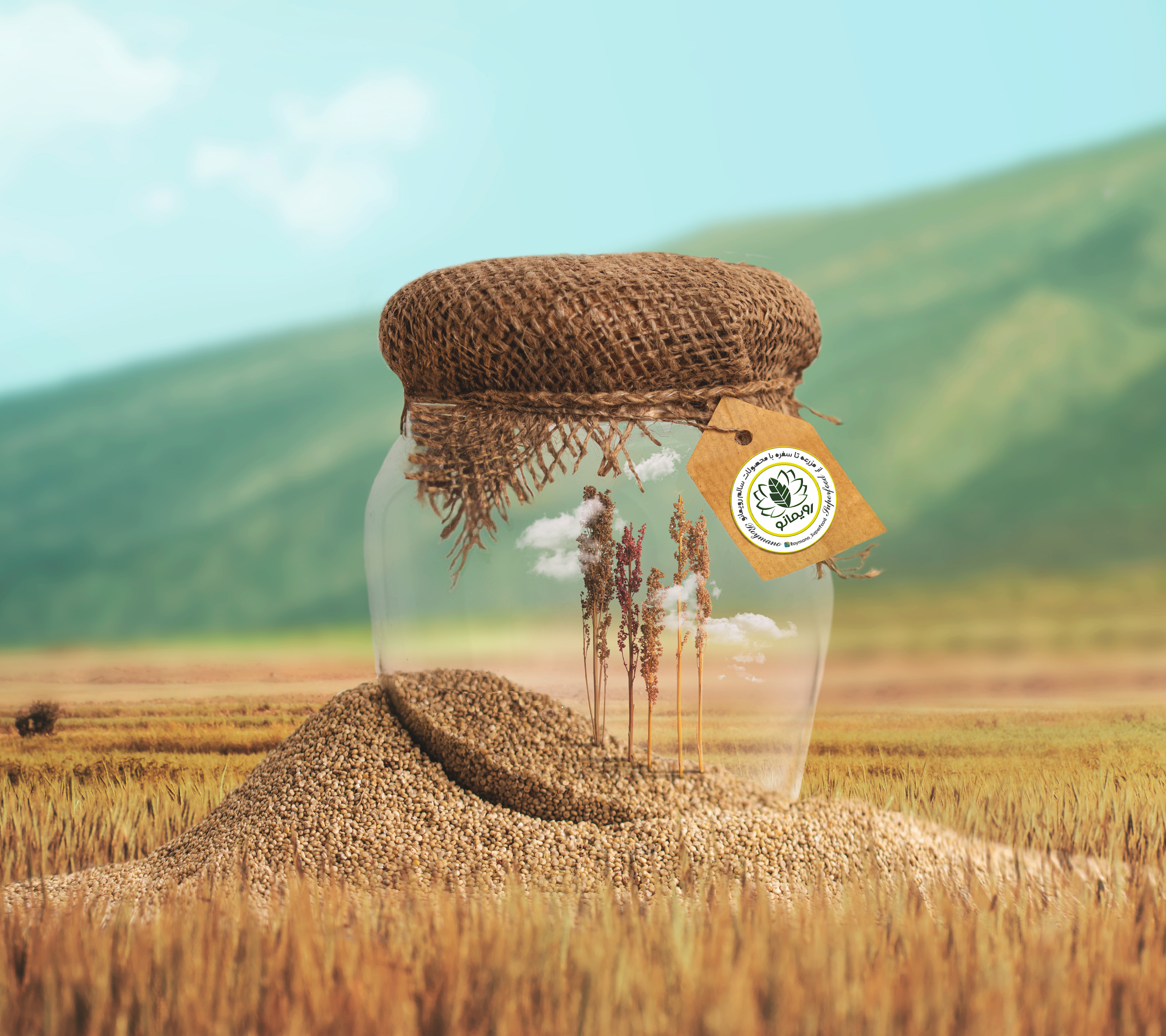 Roymano plant-based products