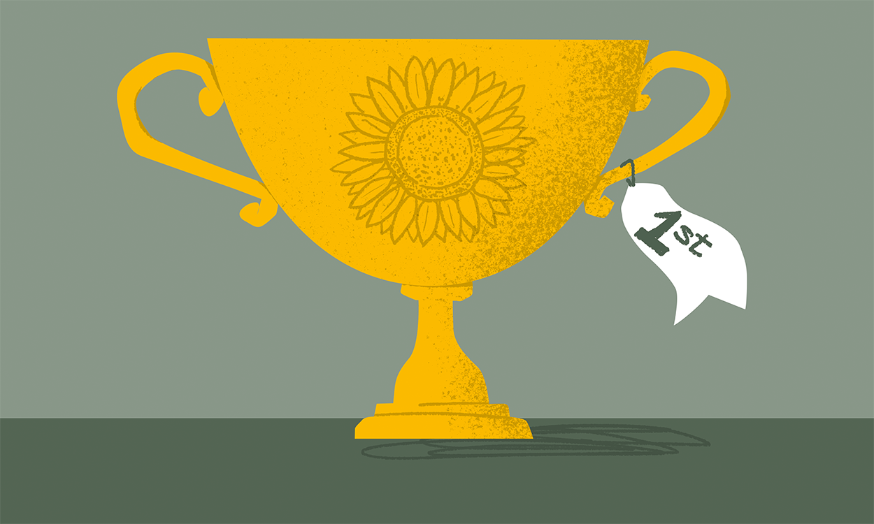 #SunflowerStreet | Organise a sunflower growing competition in your neighbourhood