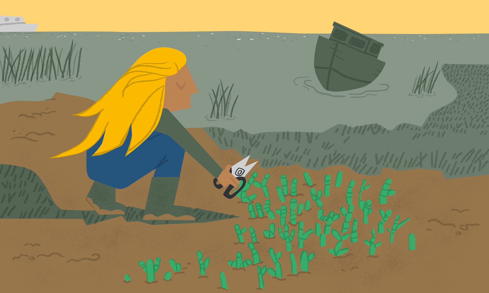 #SamphireSurprise | Forage for marsh samphire, then rustle up a delicious feast