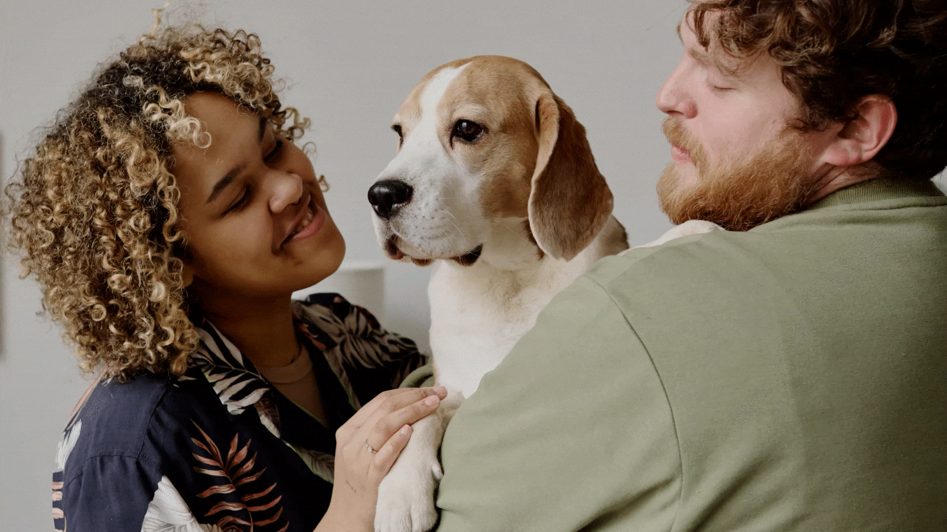 Logo Rebranding Animation