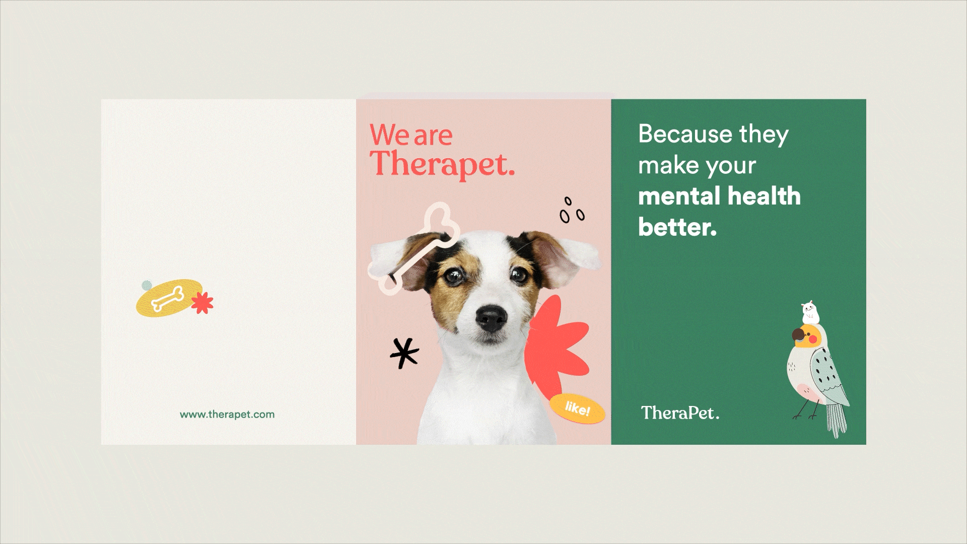 Social Media Animations