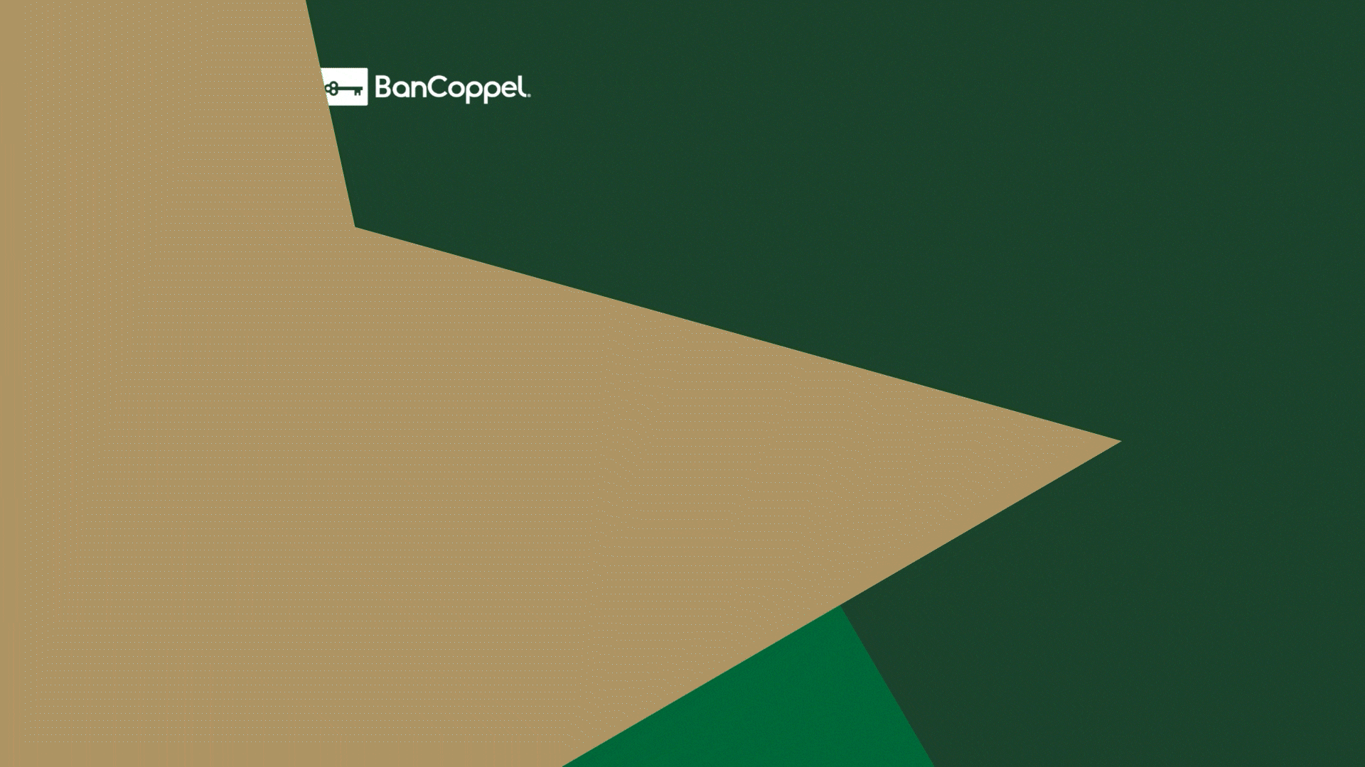 Christmas Ad Animation