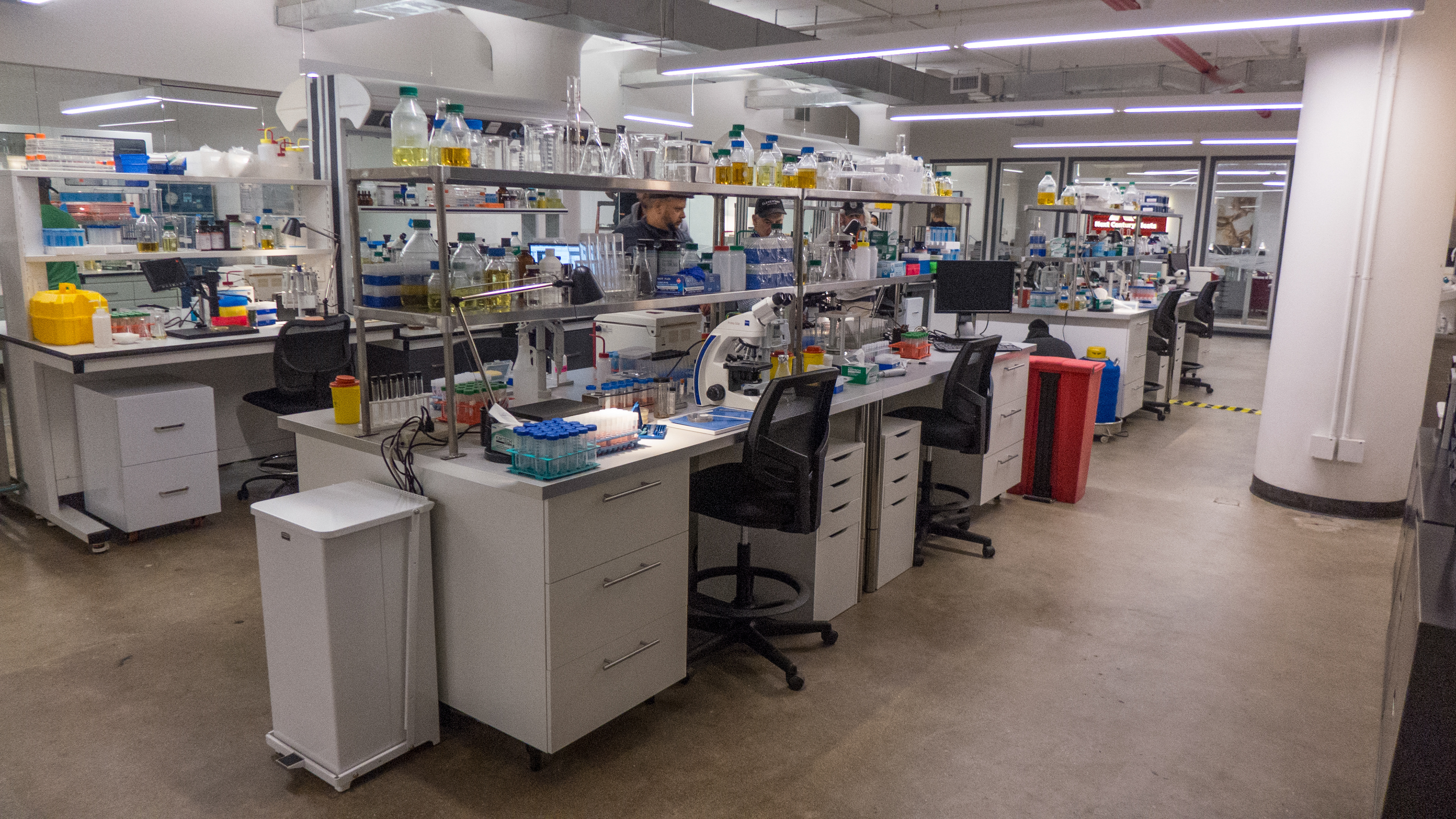 Next Century Meats After