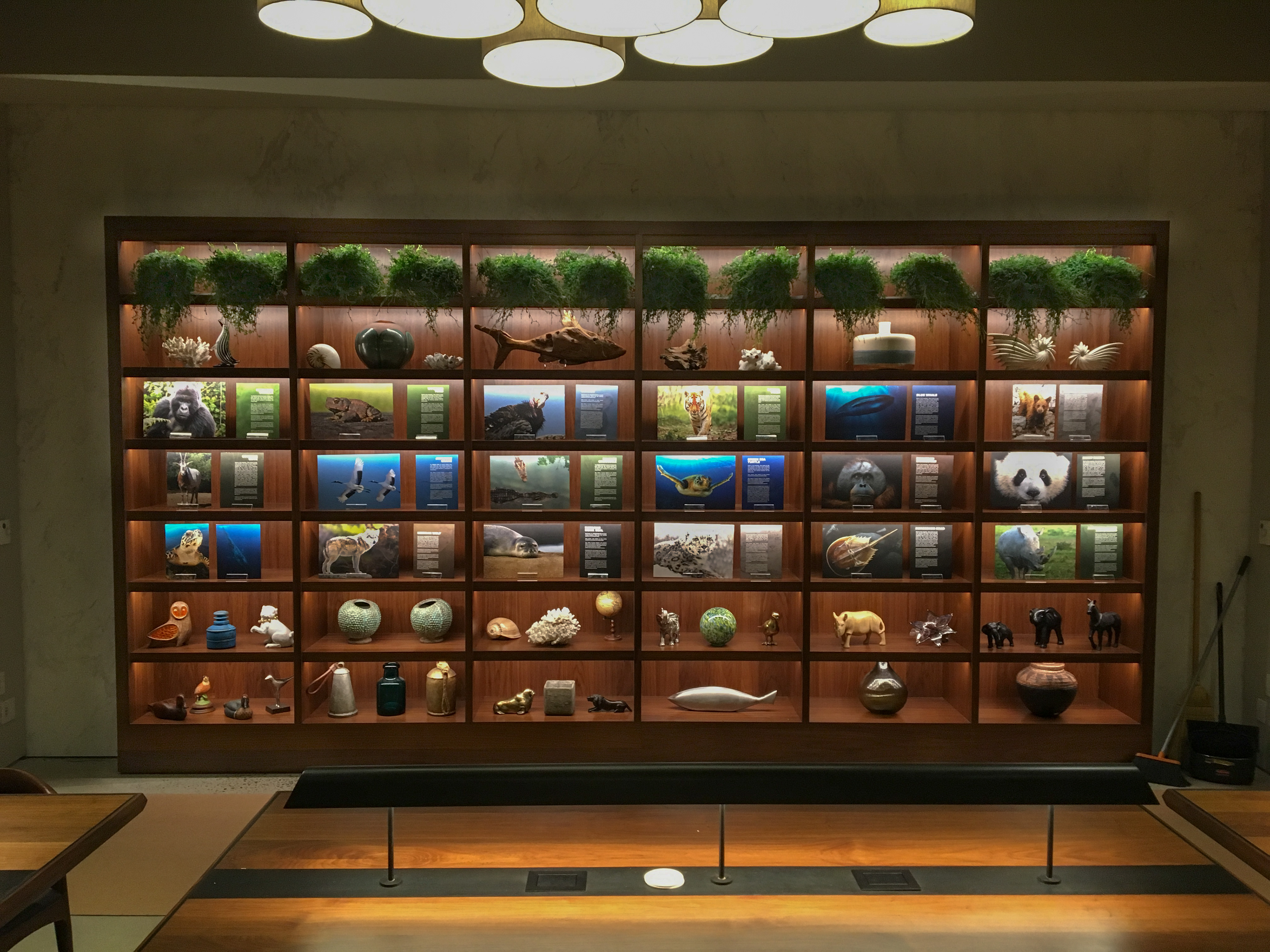 Heal The Wild Foundation Location