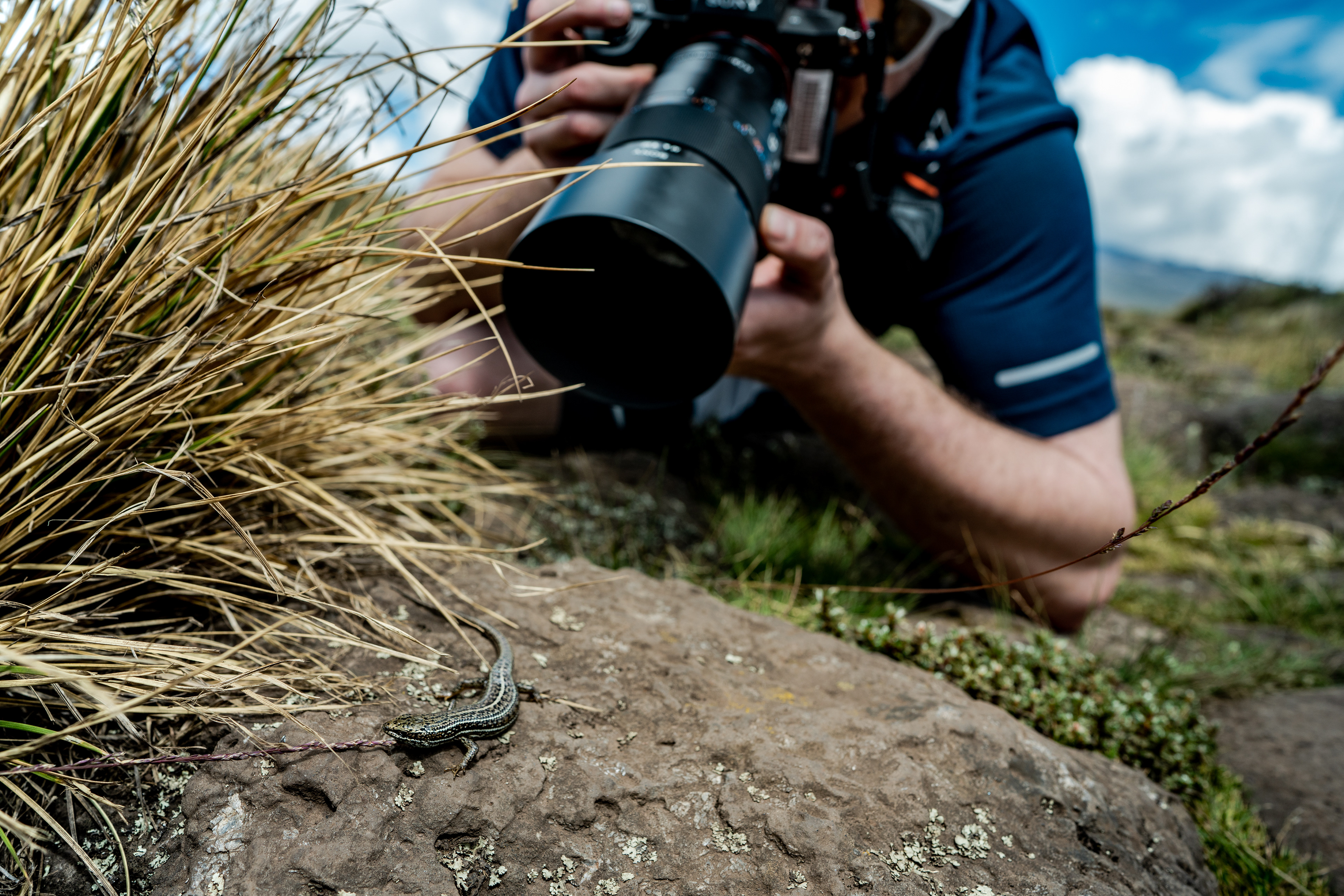 Riley Swartzendruber, finding a distracting lizard on the way to Kilimanjaro