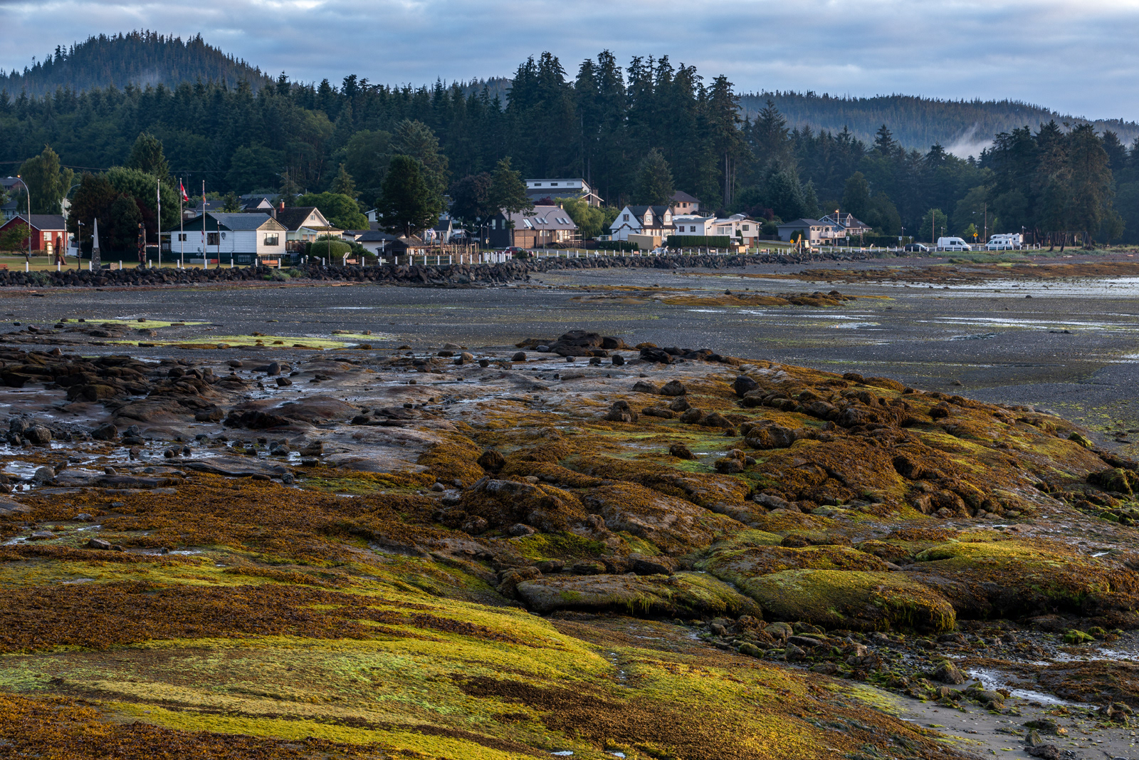 Low tide, Port Hardy, British Columbia, Canada