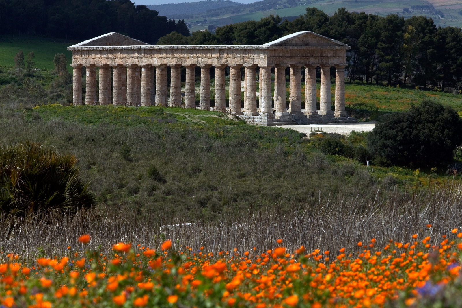 Segesta Roman Site, Sicily