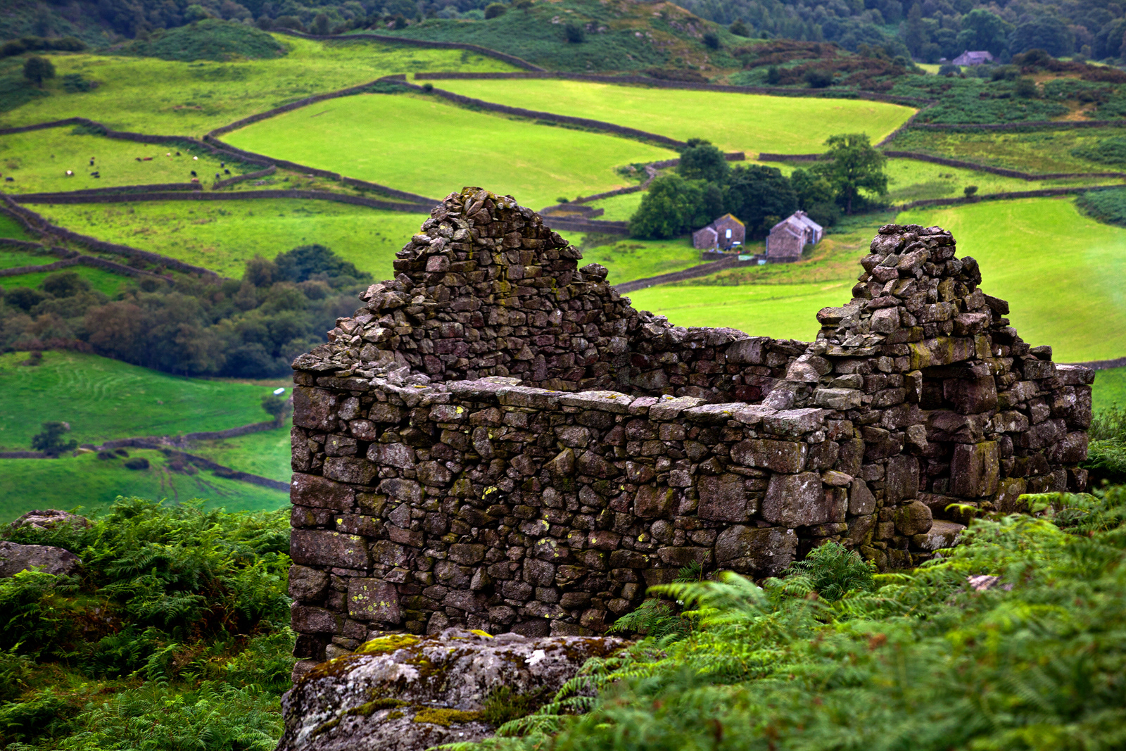 Derelict Stone House, Lake District, England