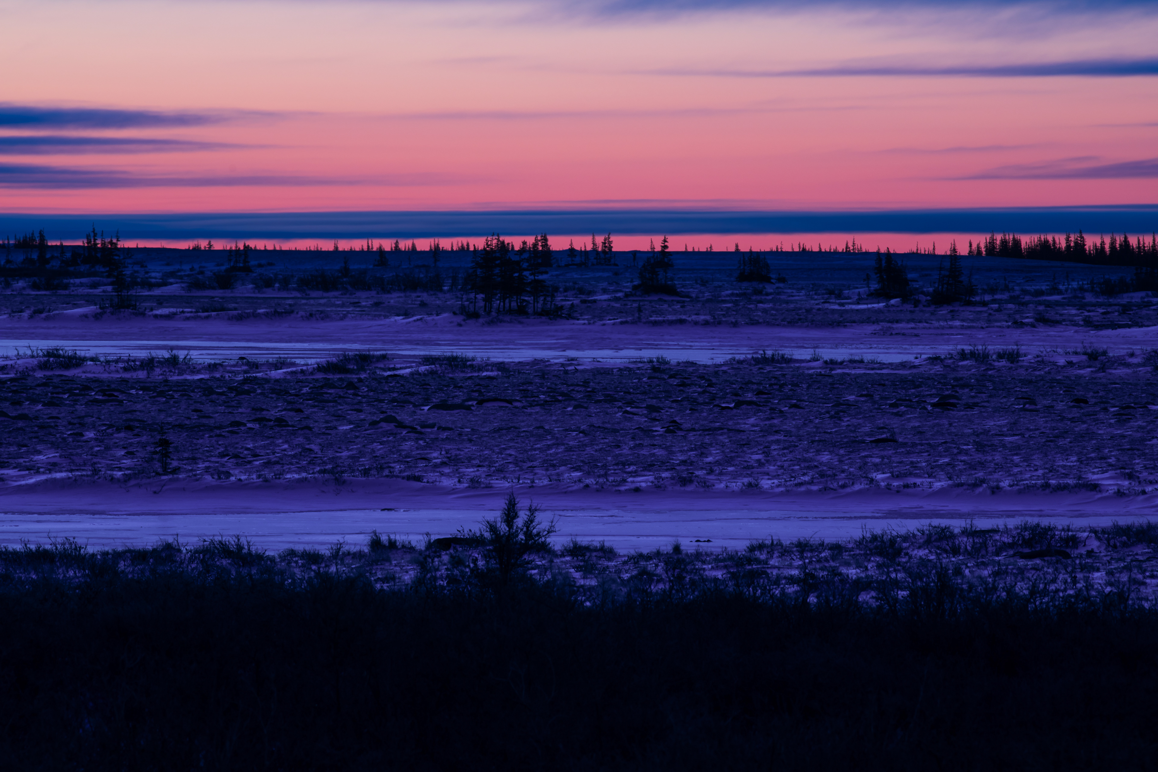 Arctic Landscape, North Manitoba, Canada