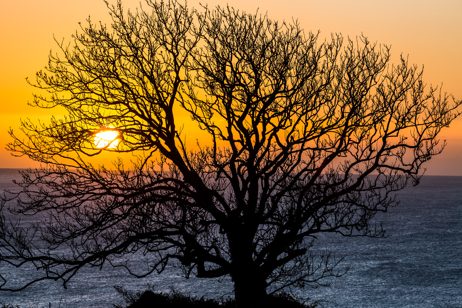 Sunrise, Dungarvan, Ireland