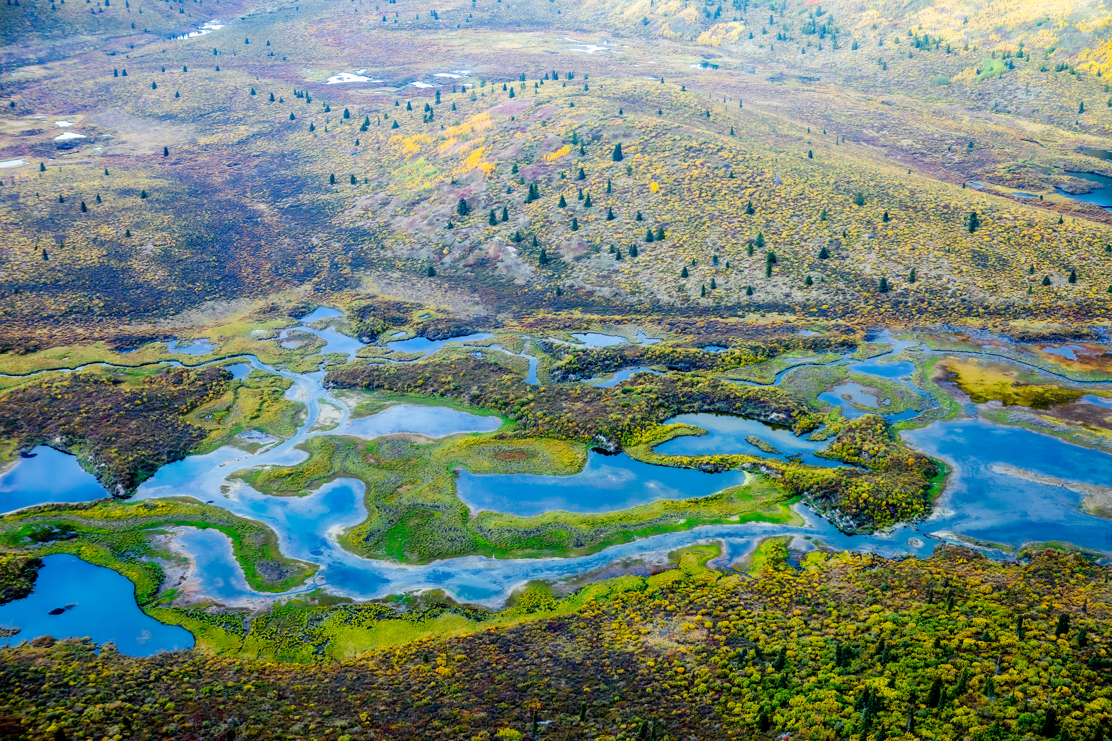 Tundra from the Air, Yukon Territory