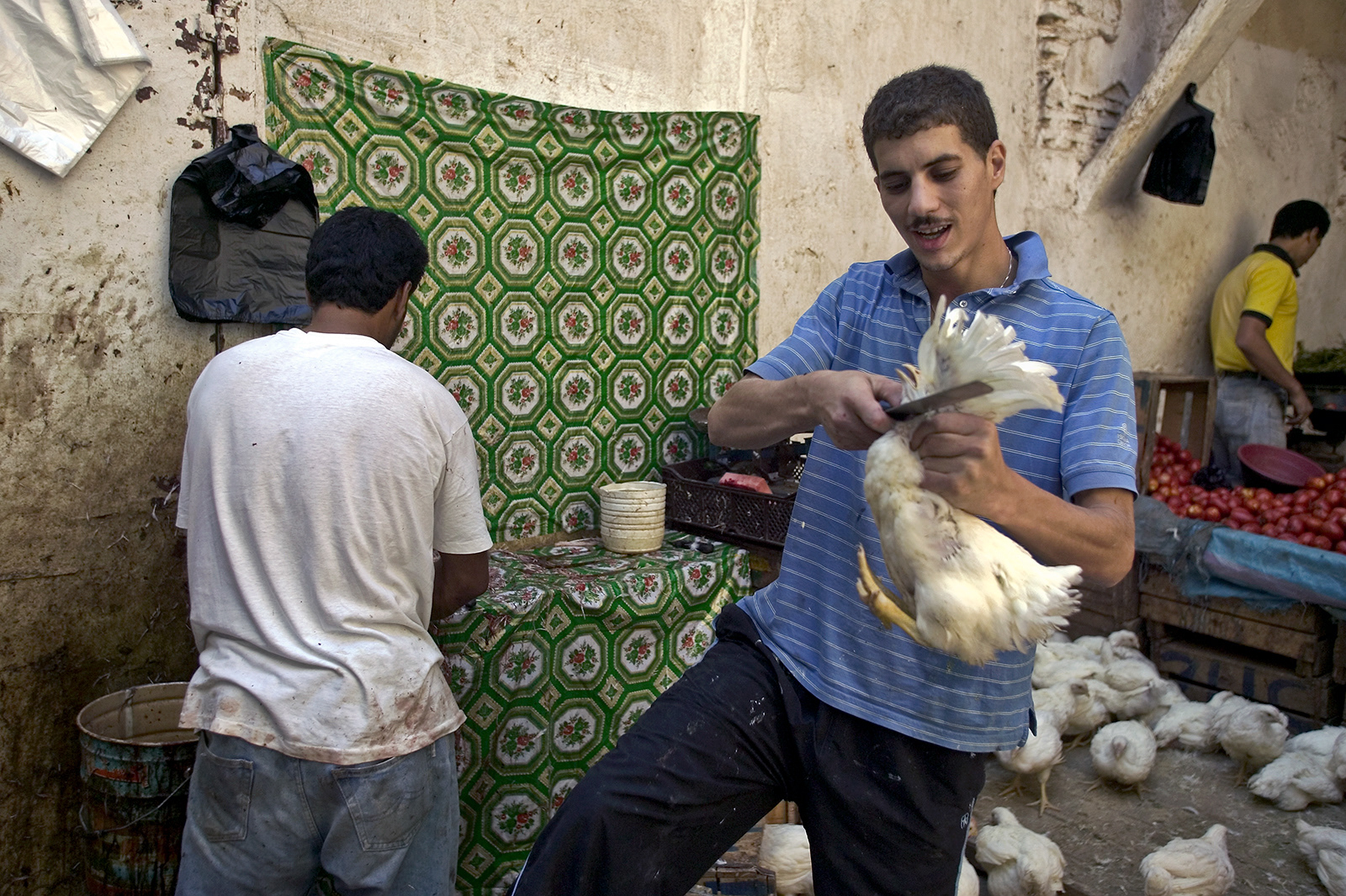Executing a chicken, Souks, Marrakesh, Morocco