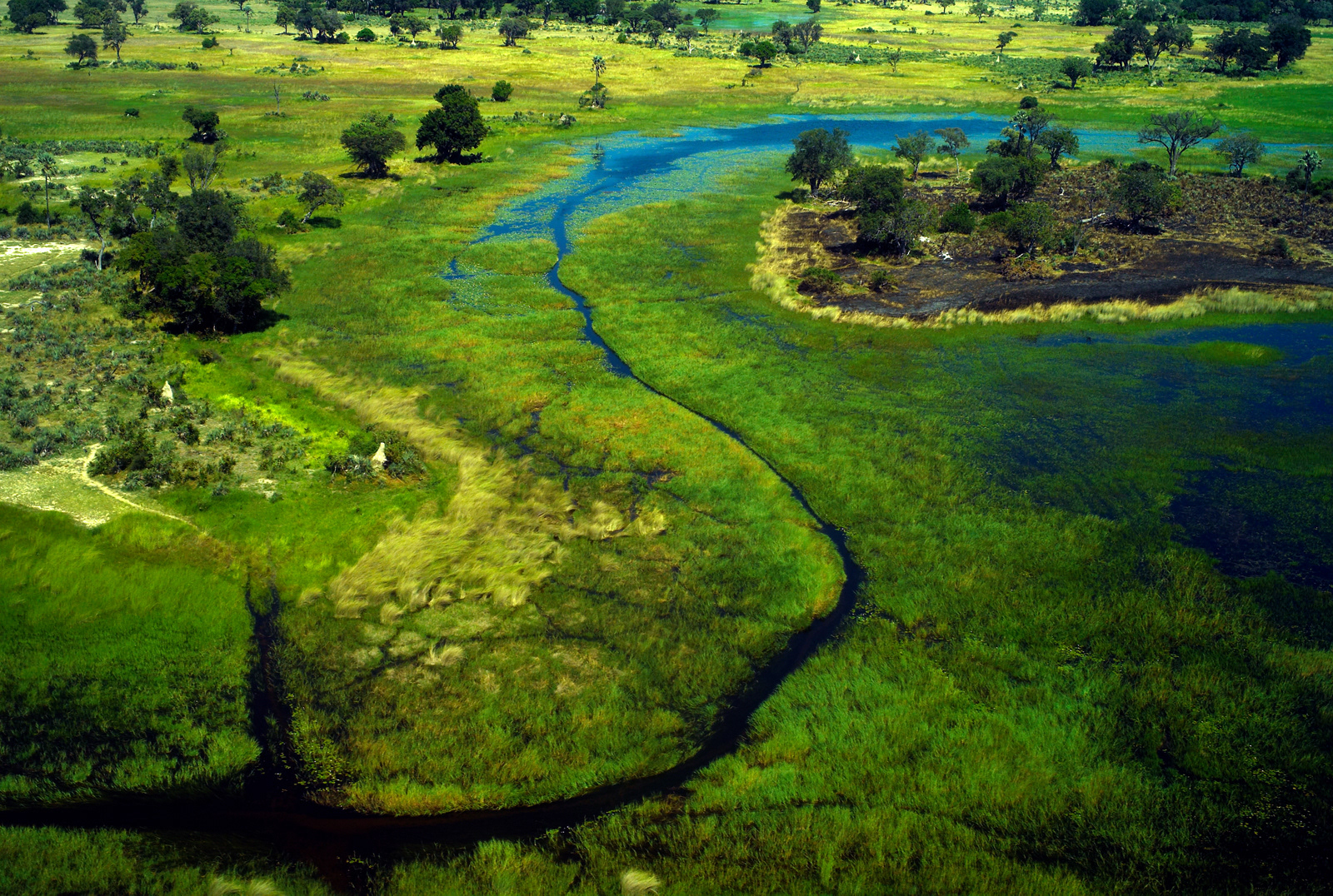 Veiw from the air, Okavango Delta, Botswana
