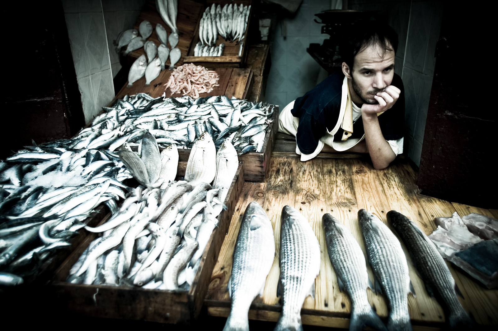 Fish monger, Fez, Morocco