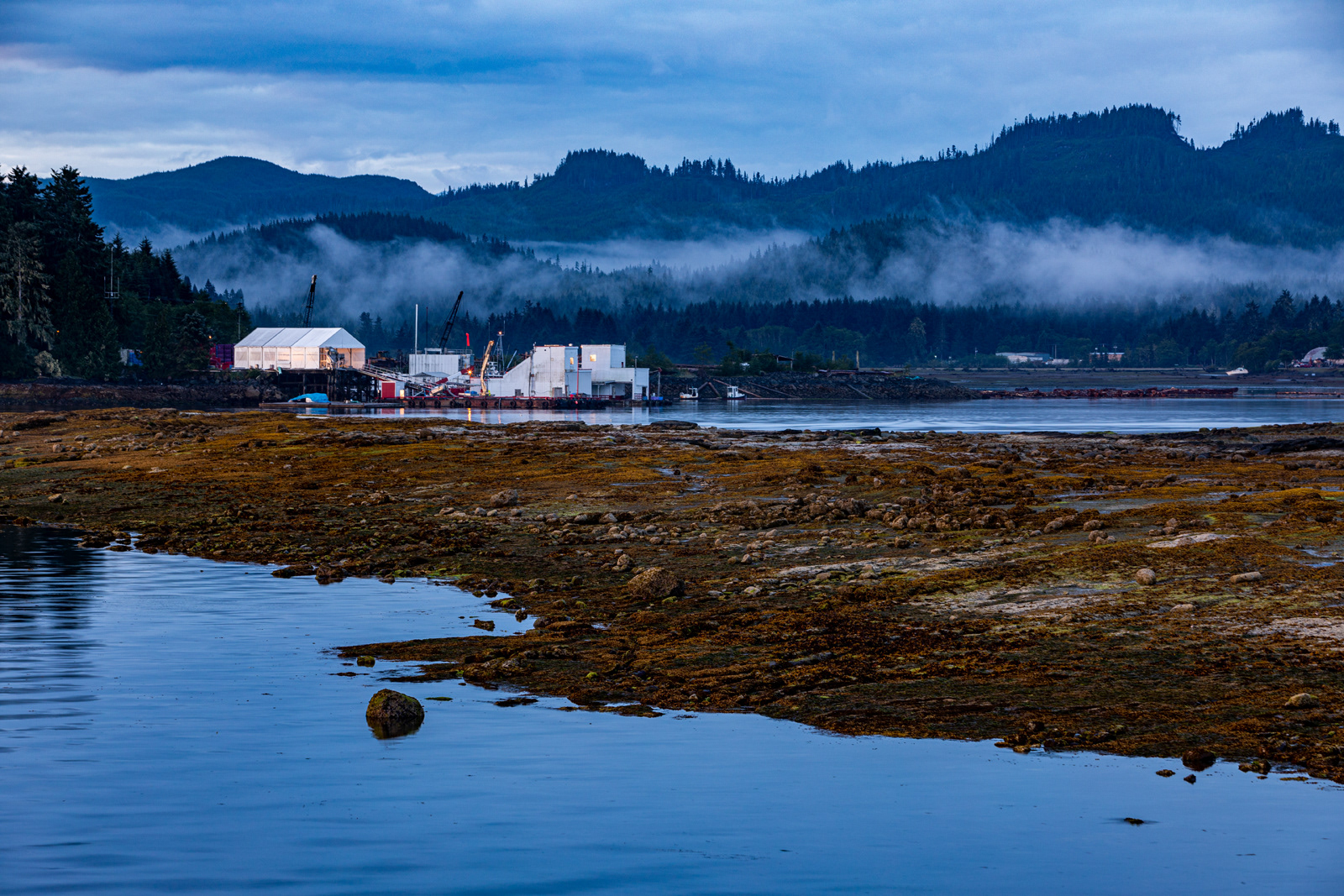 Dawn, Port Hardy, British Columbia, Canada
