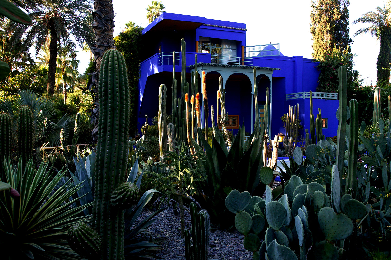 Les Jardin Marjorelle, Marrakesh, Morocco