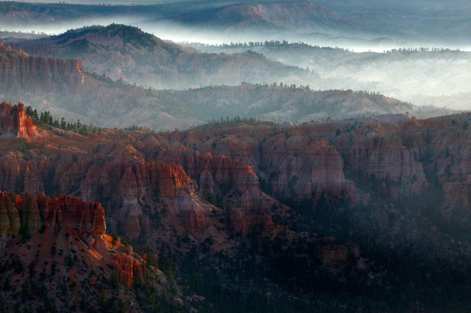 Morning mist over Bryce Canyon, Utah, USA