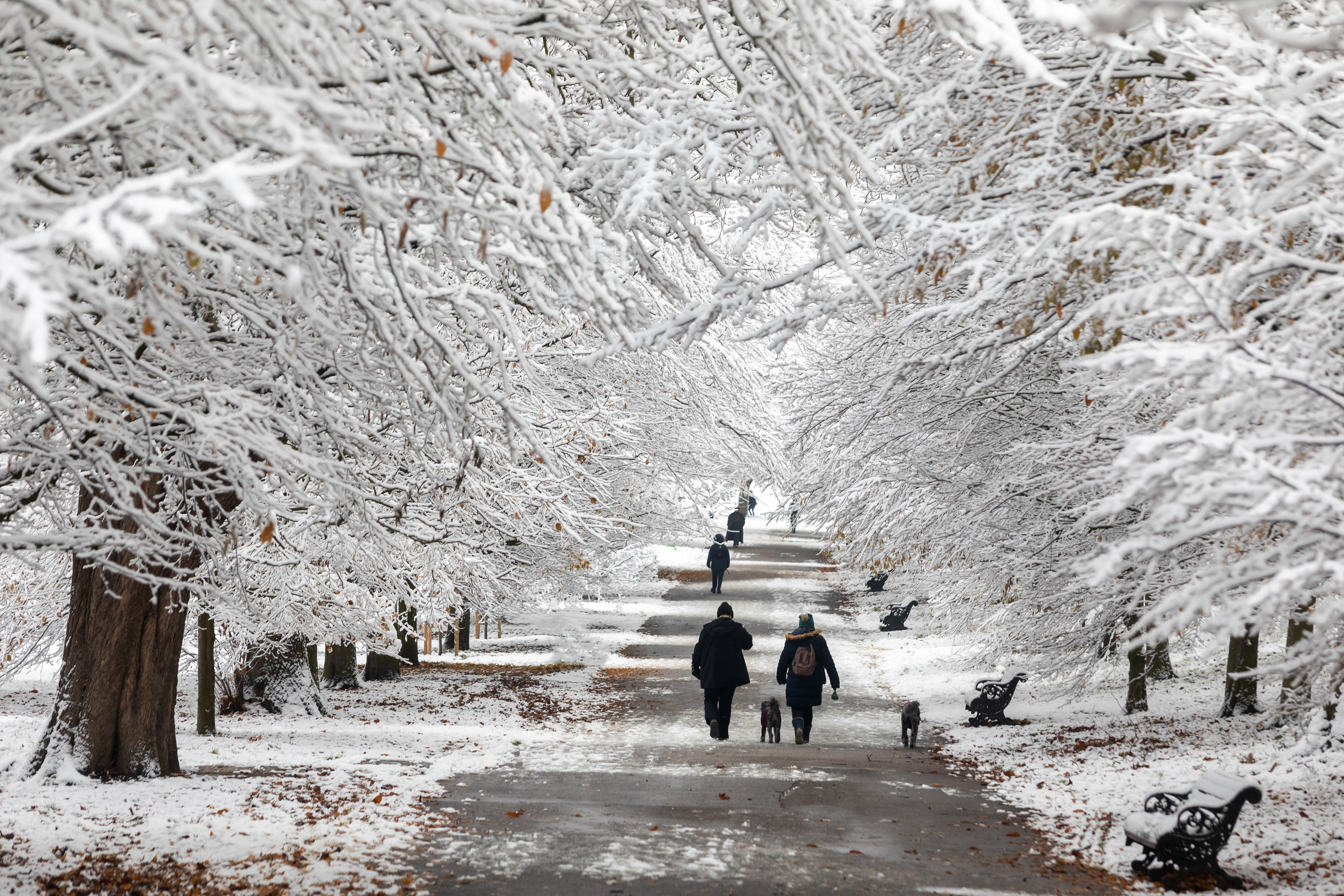 Winter, Greenwich Park