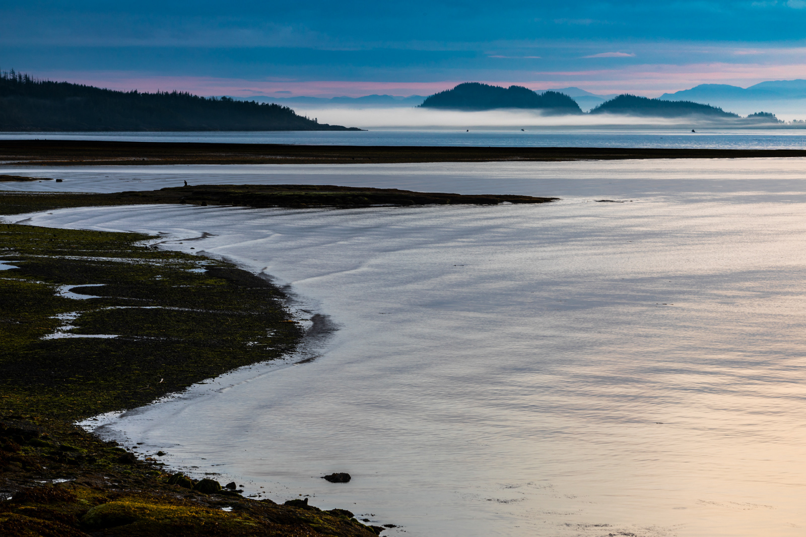 Dawn, Port Hardy, BC, Canada