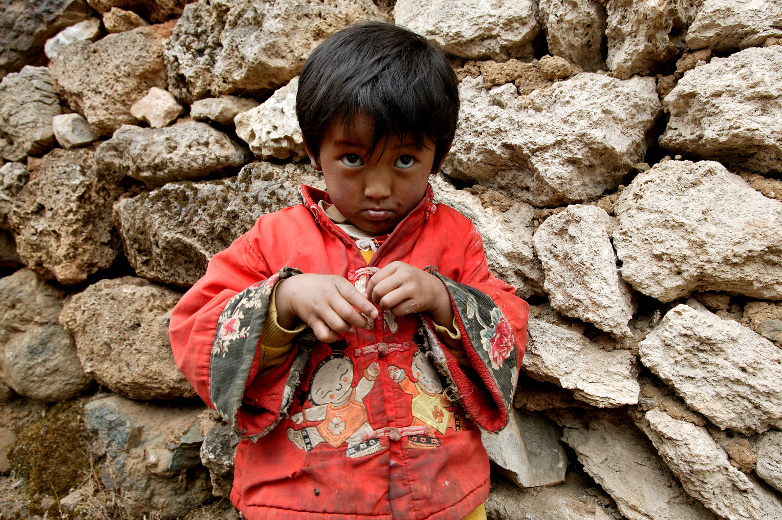 Big eyes, Meili Snow Range, China