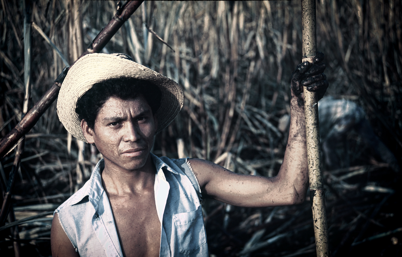 Cane cutter, El Salvador