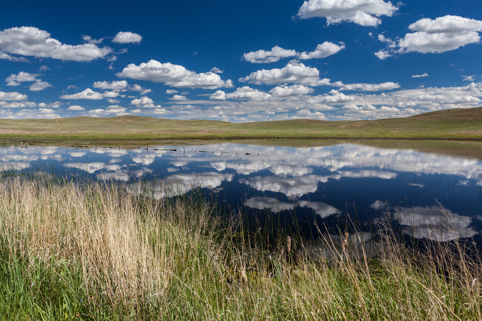 Sandlands, Nebraska, USA