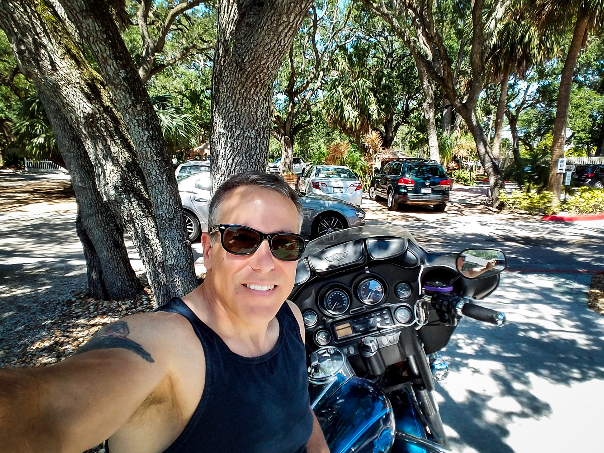 Out for a ride on a sunny day