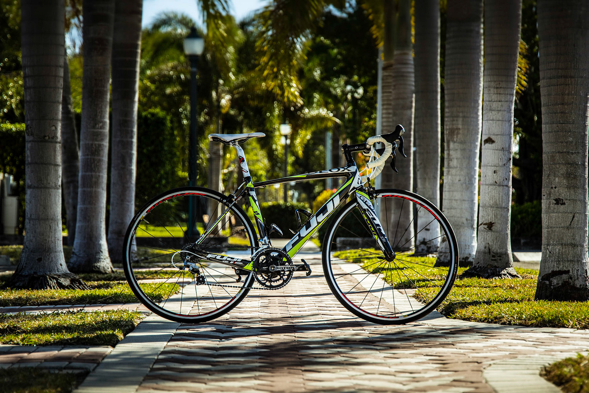 Fuji Altimara with palm trees