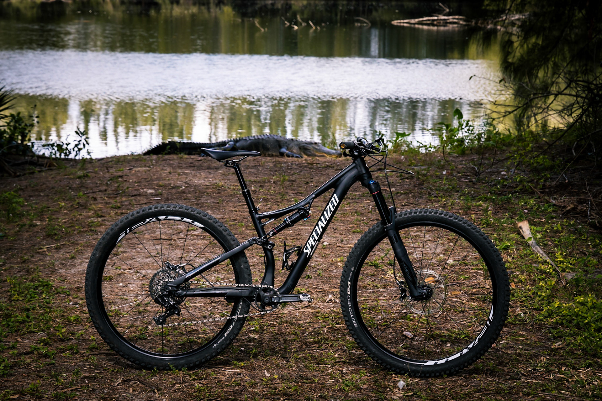 Specialized stumpjumper with an alligator in the background.