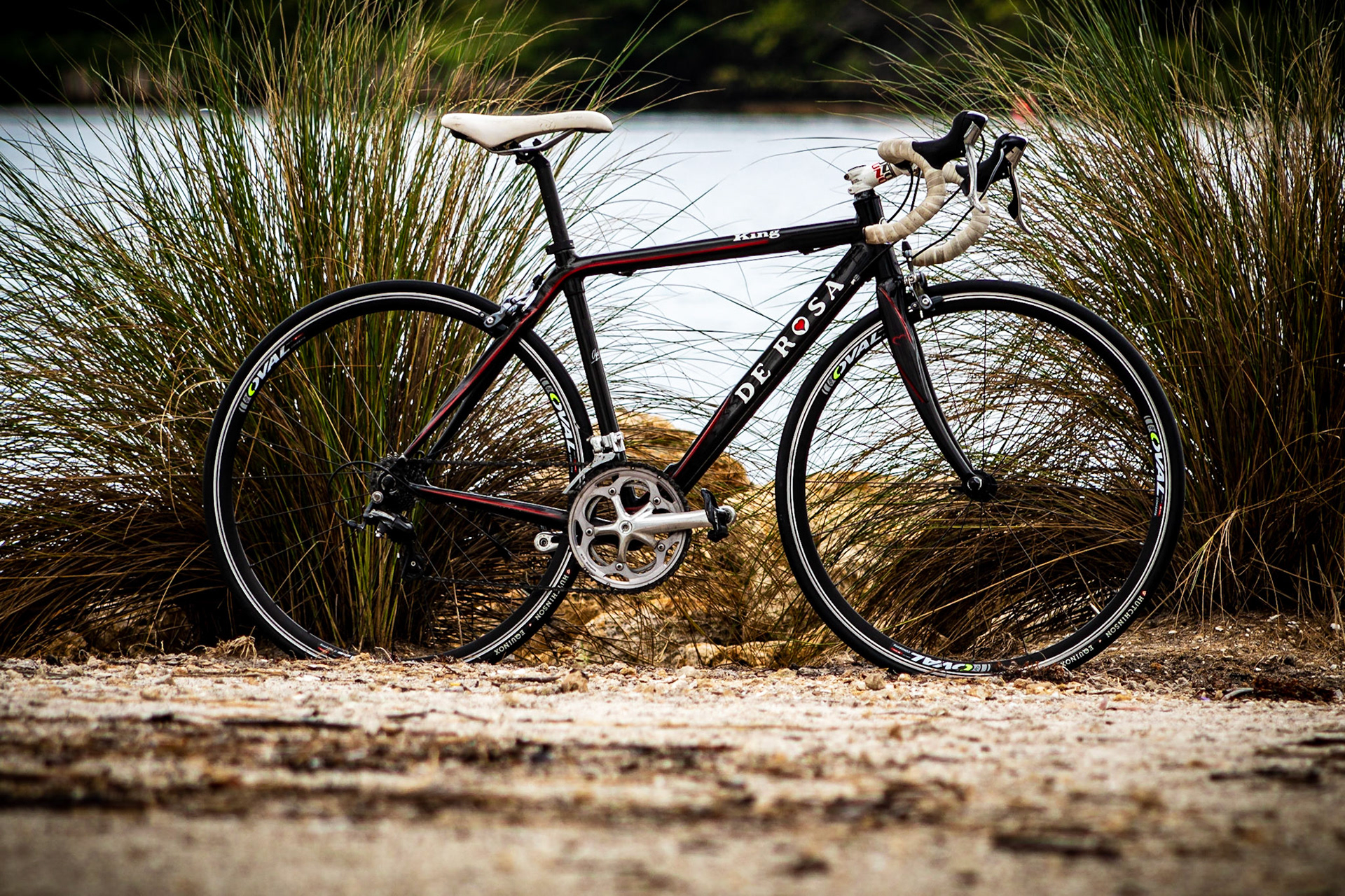 De Rosa bike at Deboise park.