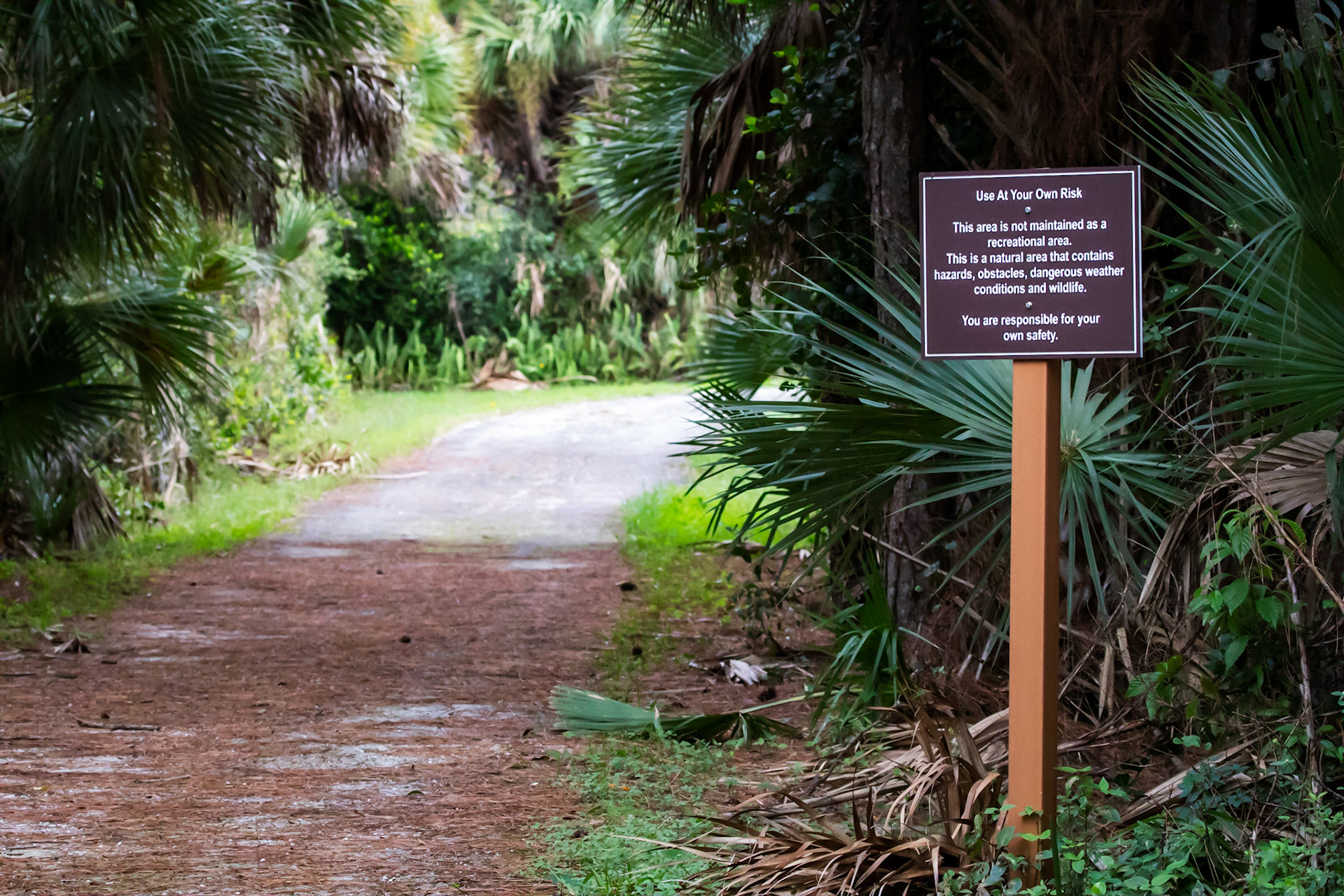 Entering the SWA trail system.