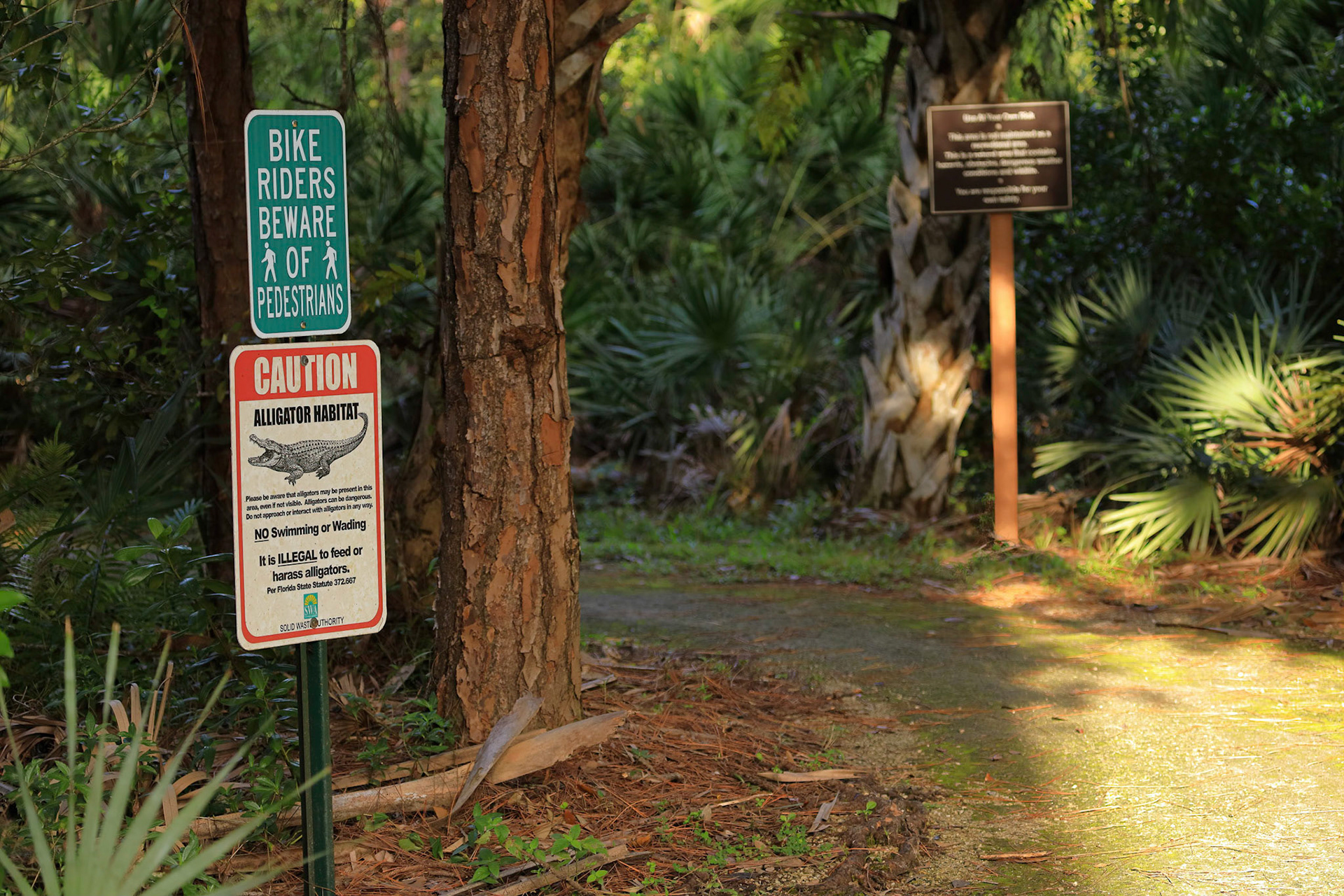 SWA trail head behind the admin office.