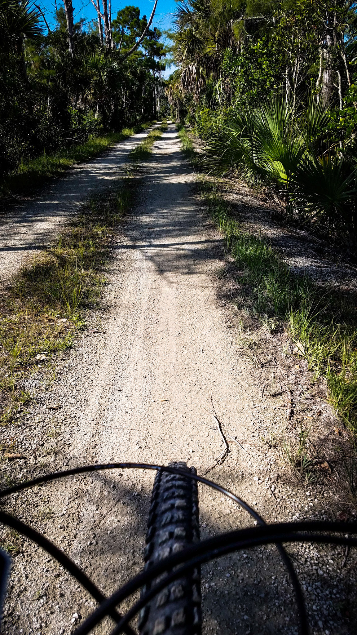 Down the trail