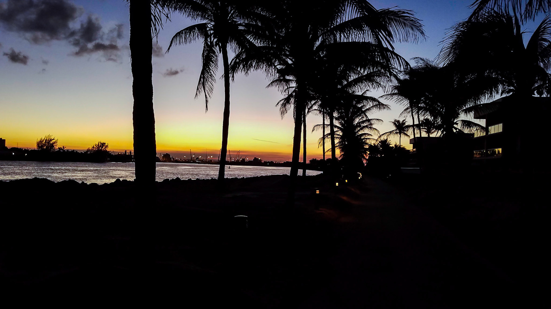 Sunset under the palms.