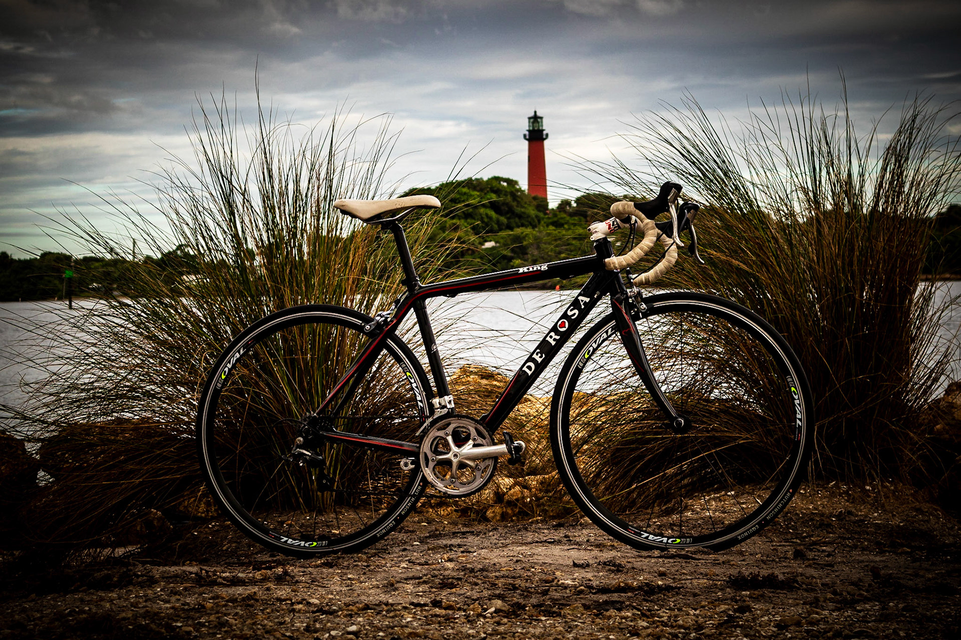 De Rosa King with the Jupiter Lighthouse in the background.